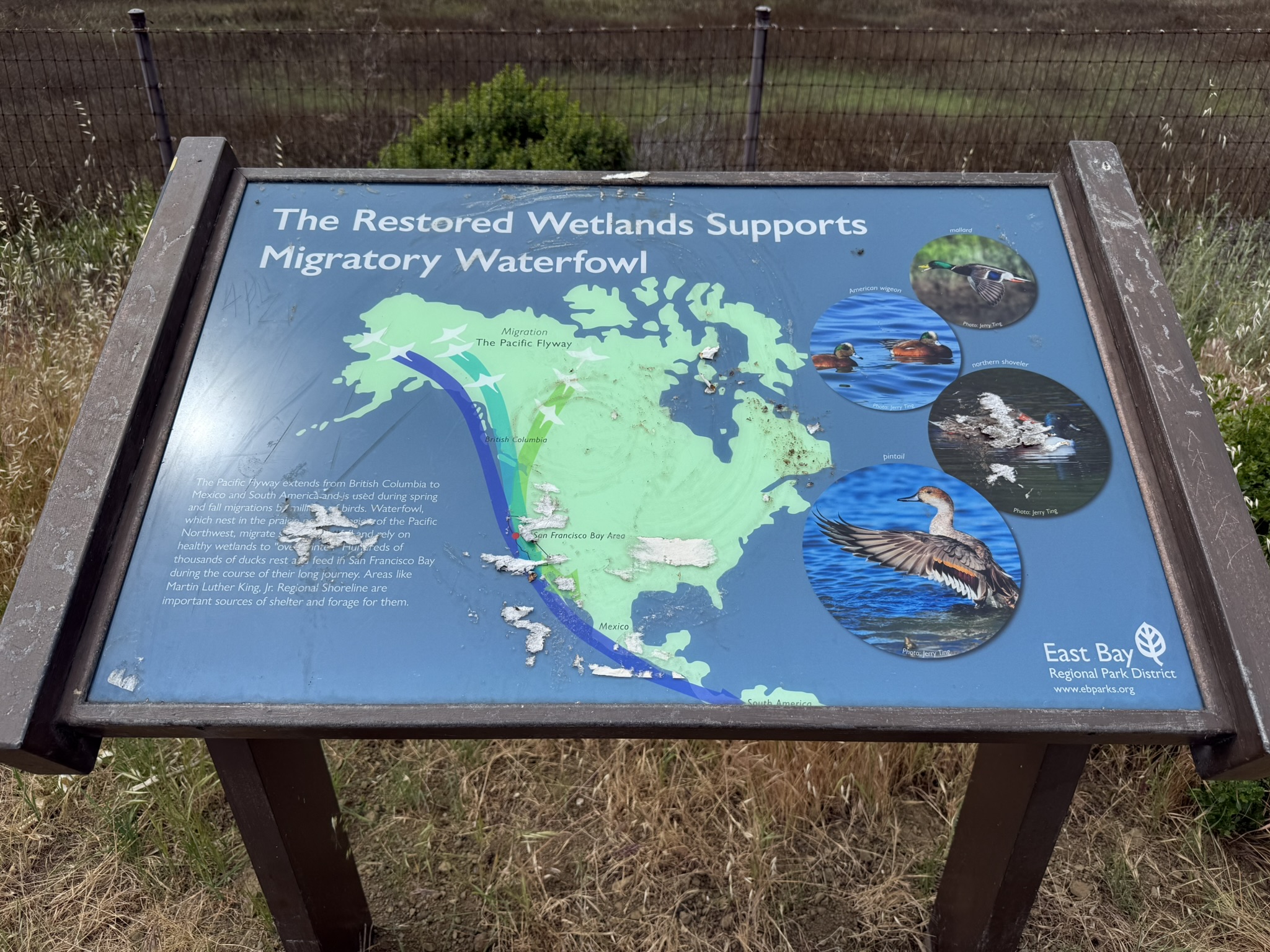 Martin Luther King Jr. Regional Shoreline