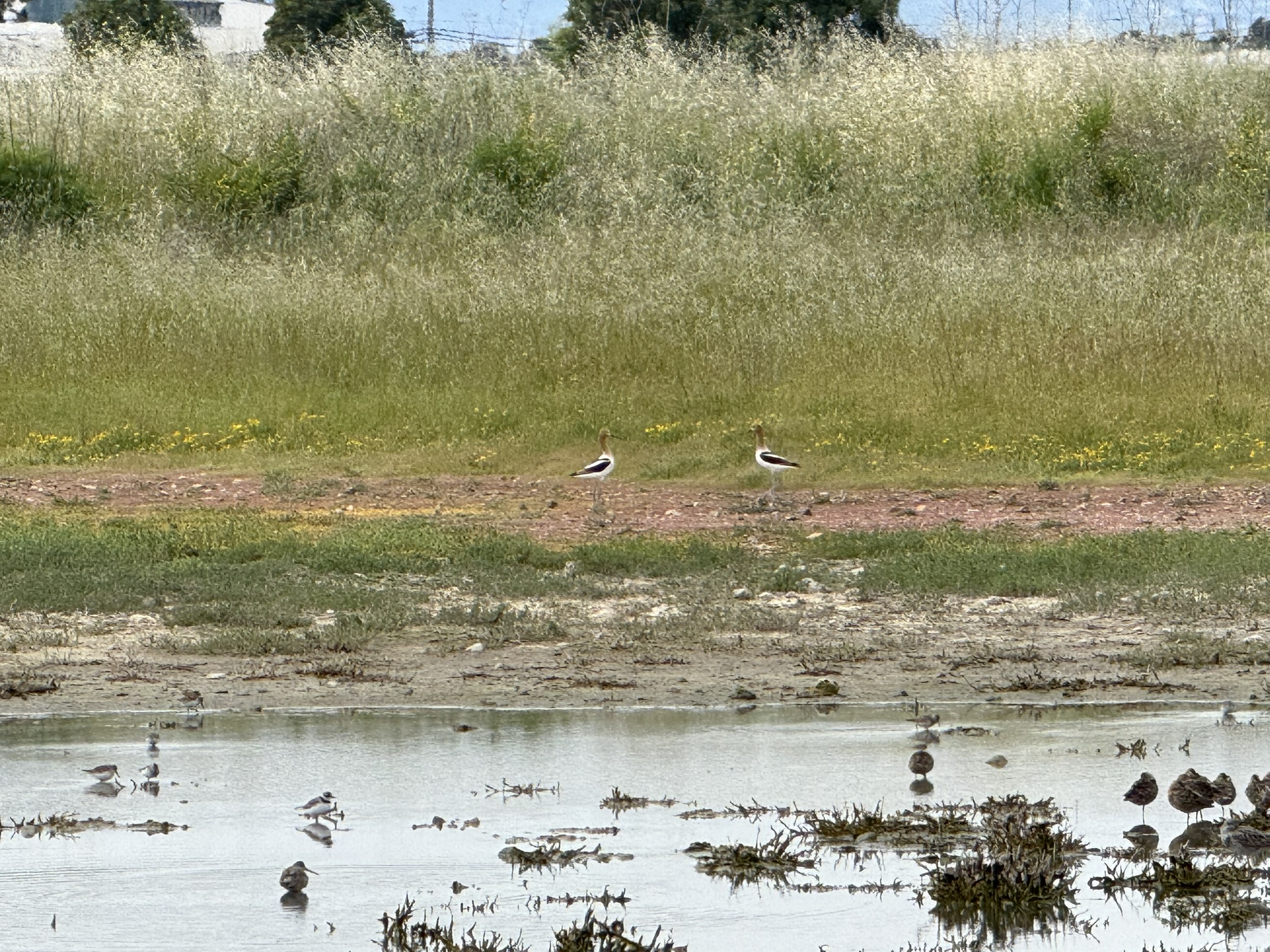 Martin Luther King Jr. Regional Shoreline