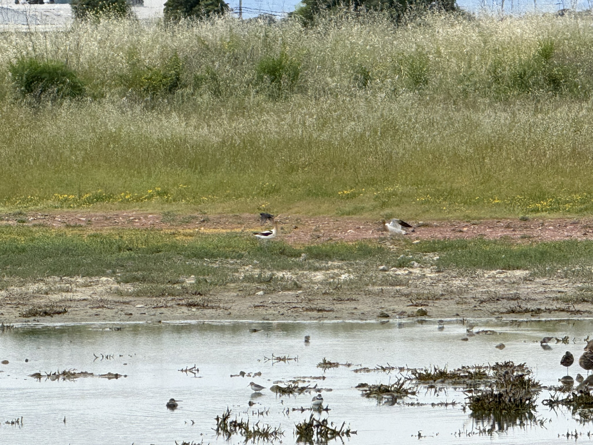 Martin Luther King Jr. Regional Shoreline
