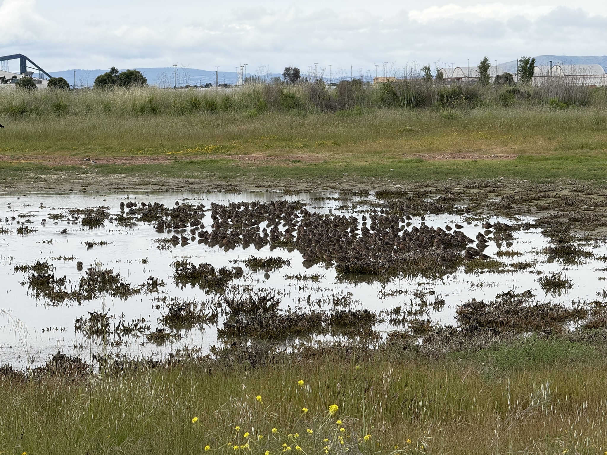 Martin Luther King Jr. Regional Shoreline
