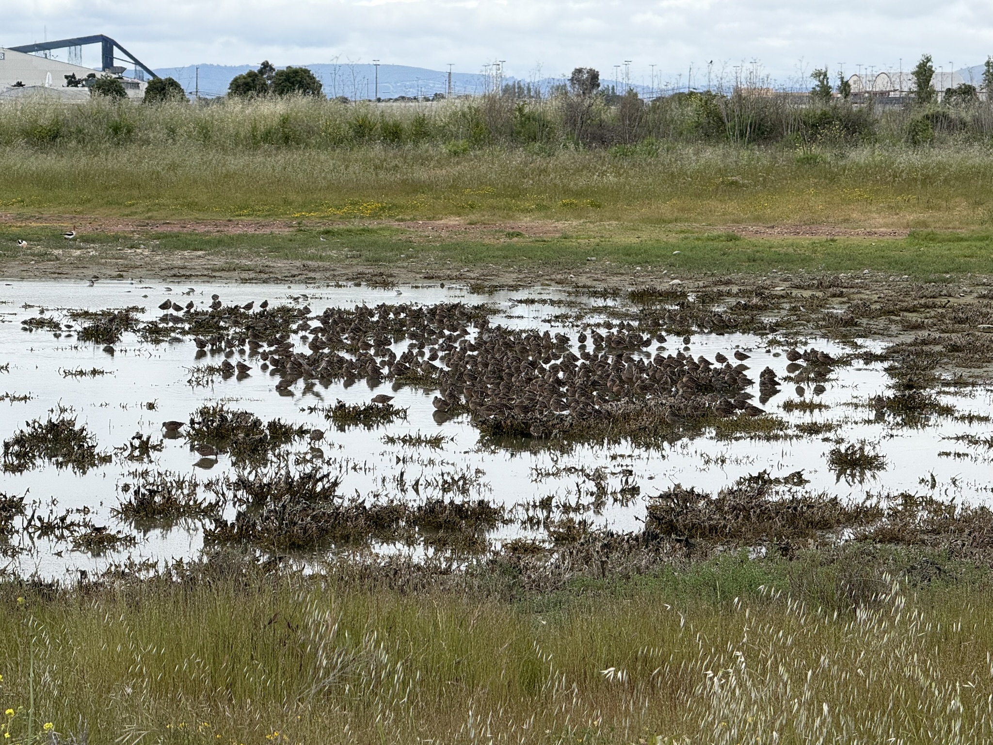 Martin Luther King Jr. Regional Shoreline