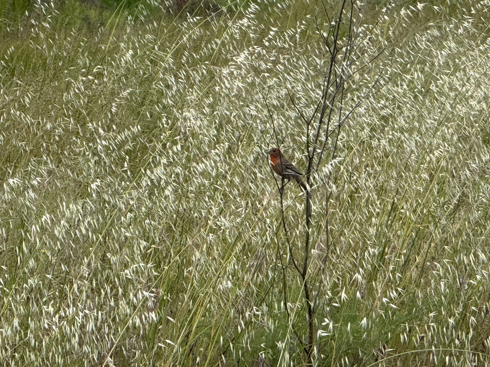 Martin Luther King Jr. Regional Shoreline