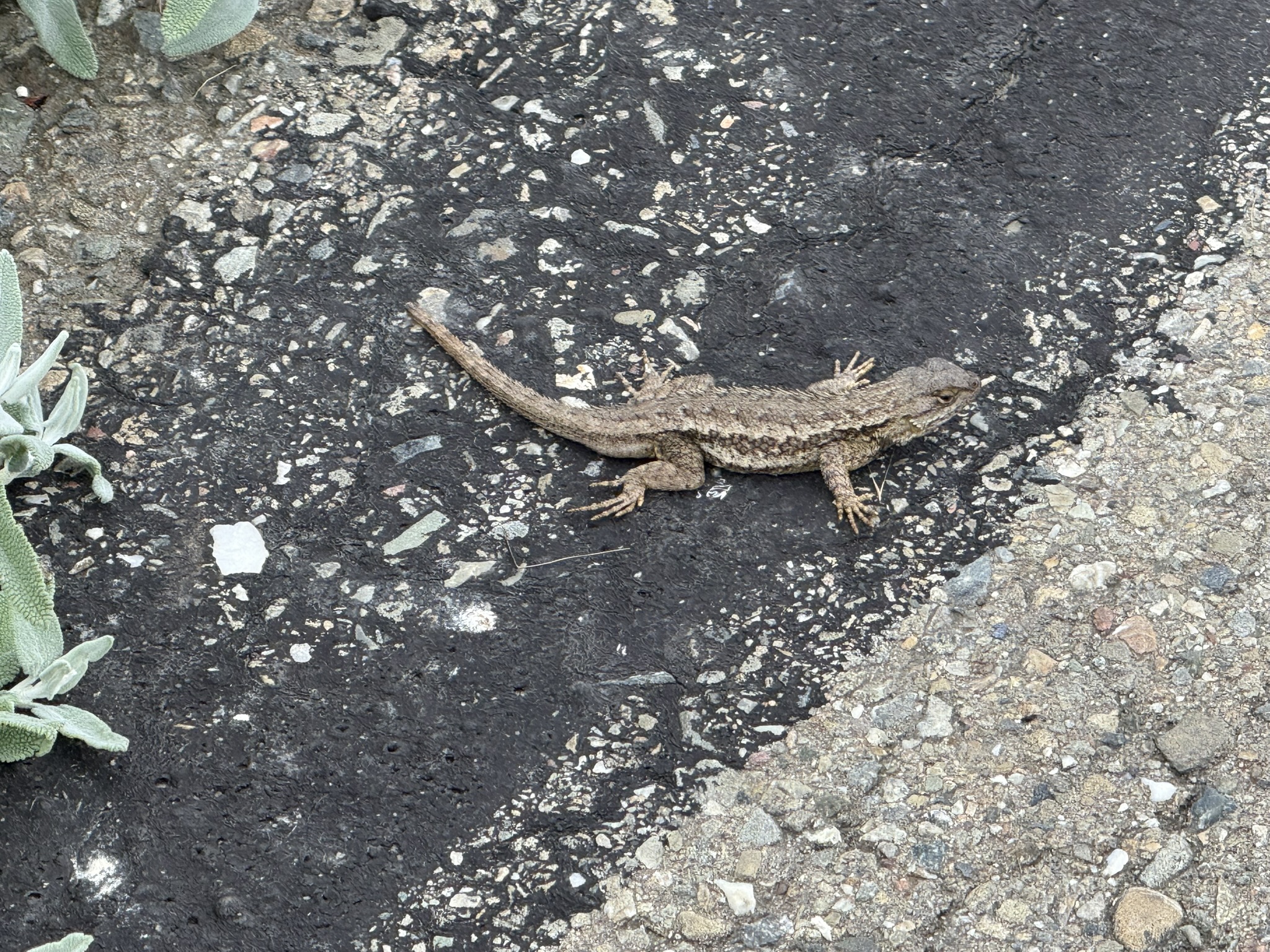Martin Luther King Jr. Regional Shoreline