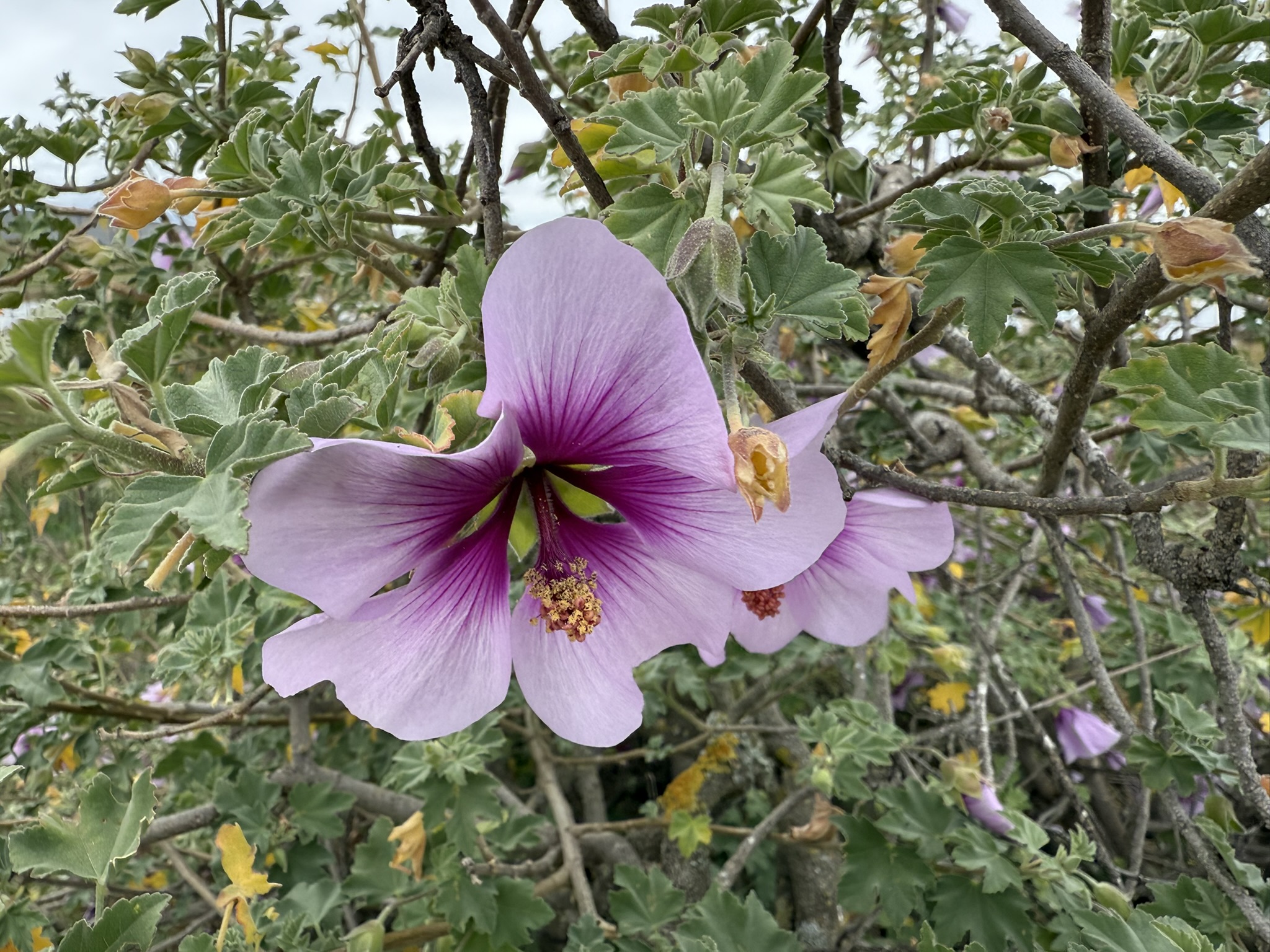 Martin Luther King Jr. Regional Shoreline
