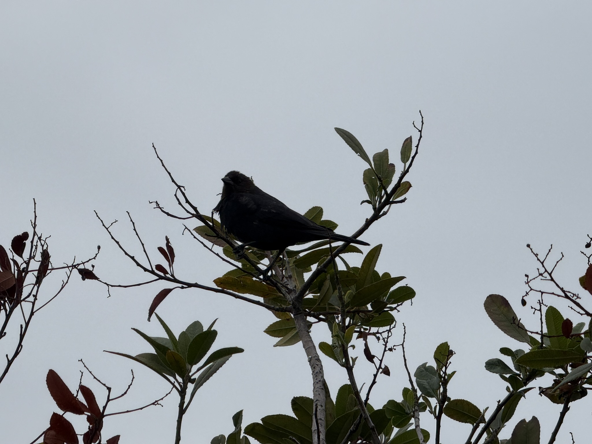 Martin Luther King Jr. Regional Shoreline