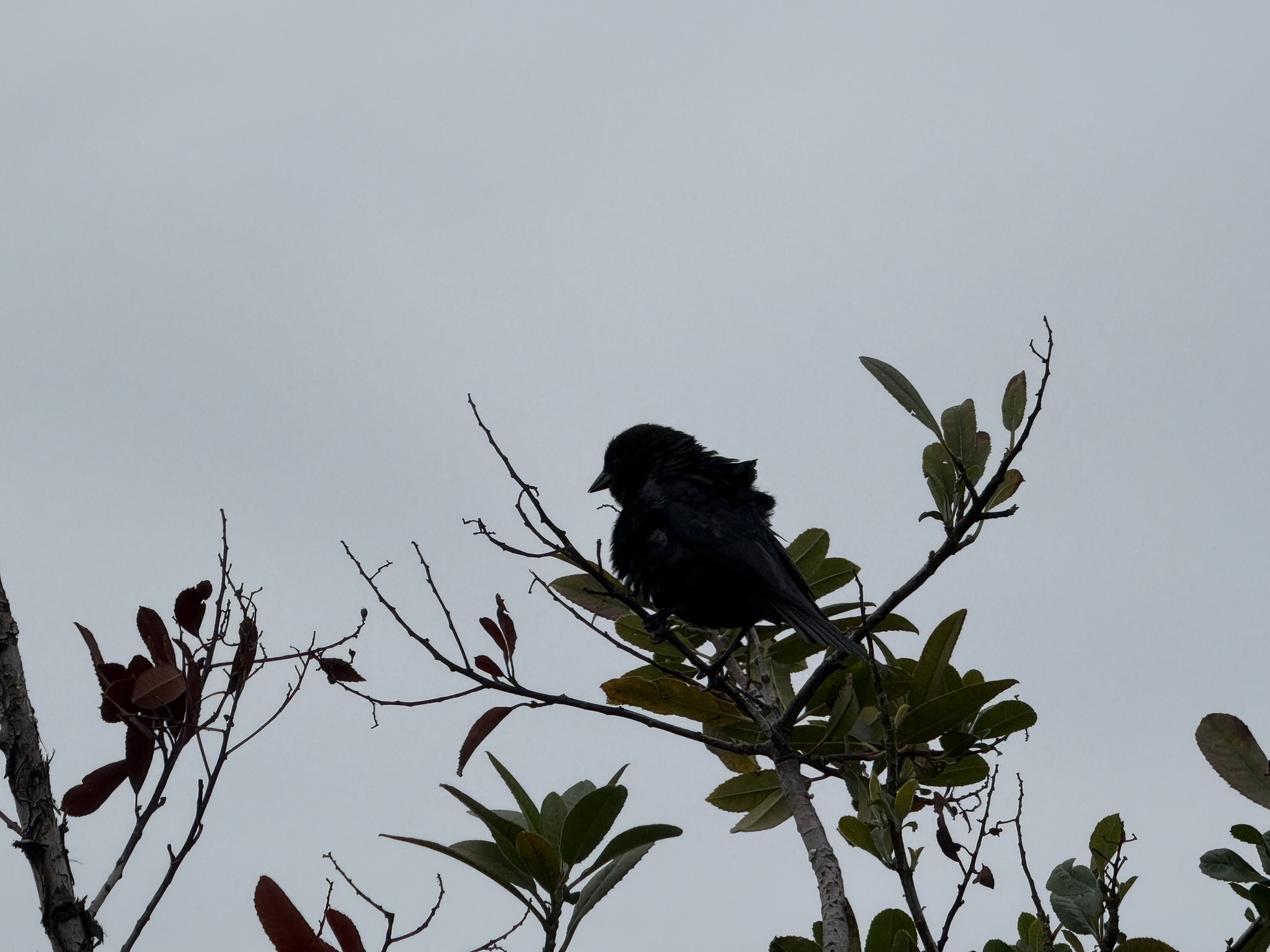 Martin Luther King Jr. Regional Shoreline