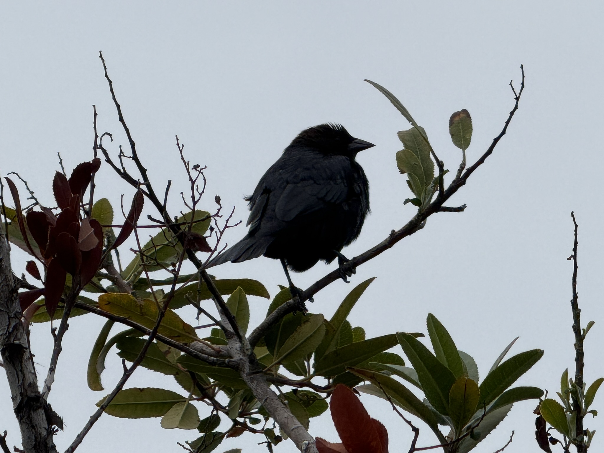 Martin Luther King Jr. Regional Shoreline