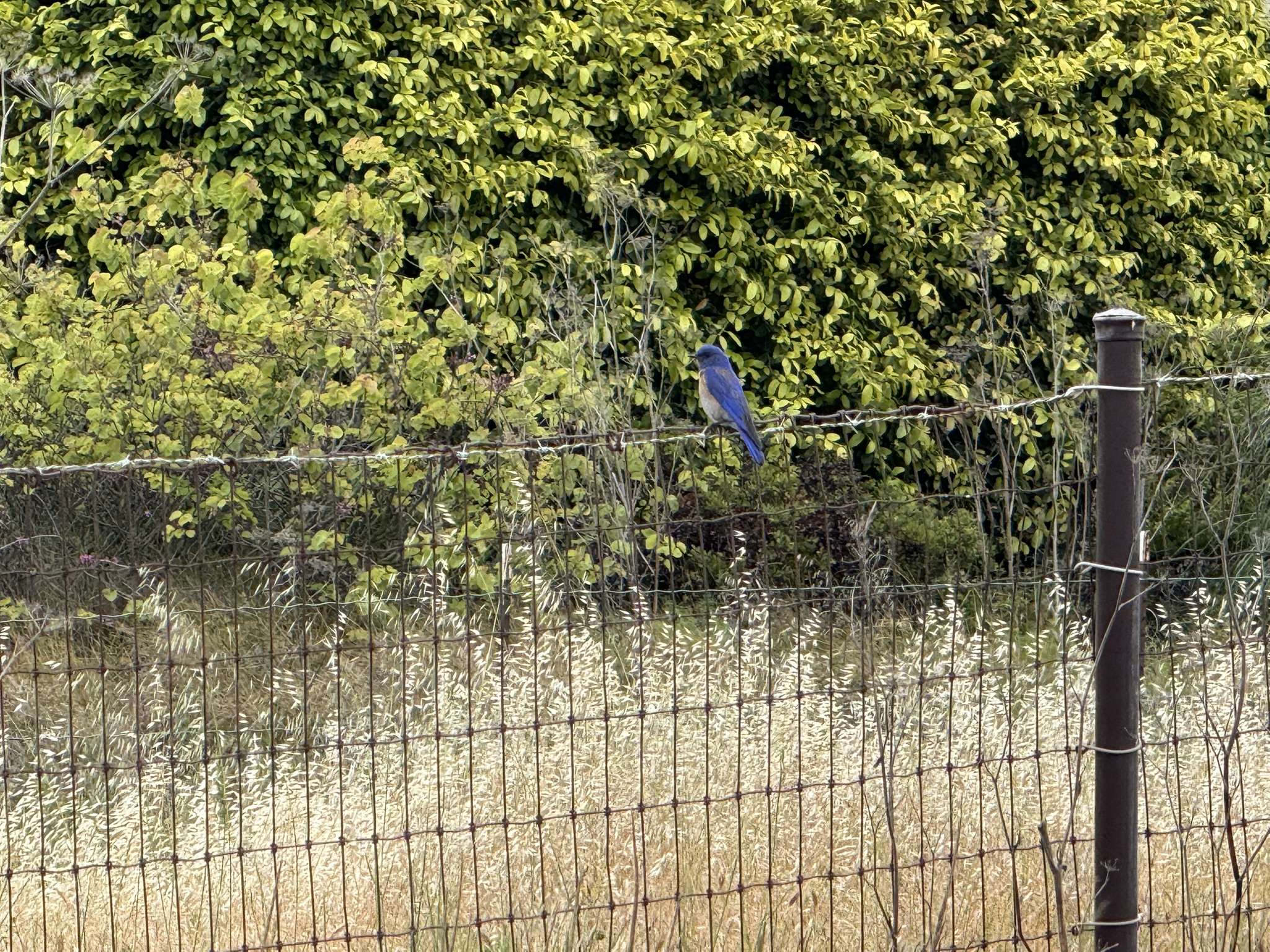 Martin Luther King Jr. Regional Shoreline