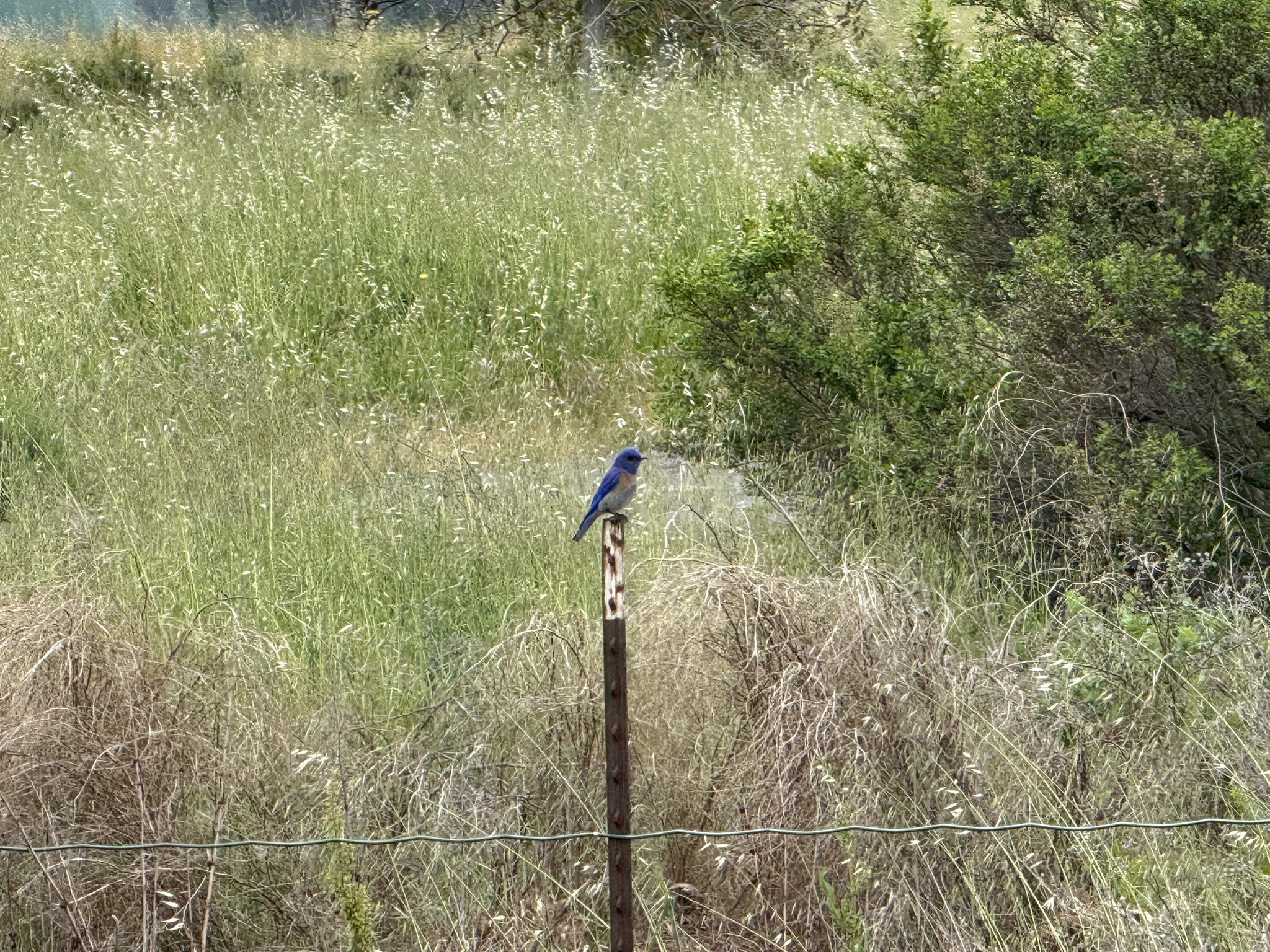 Martin Luther King Jr. Regional Shoreline