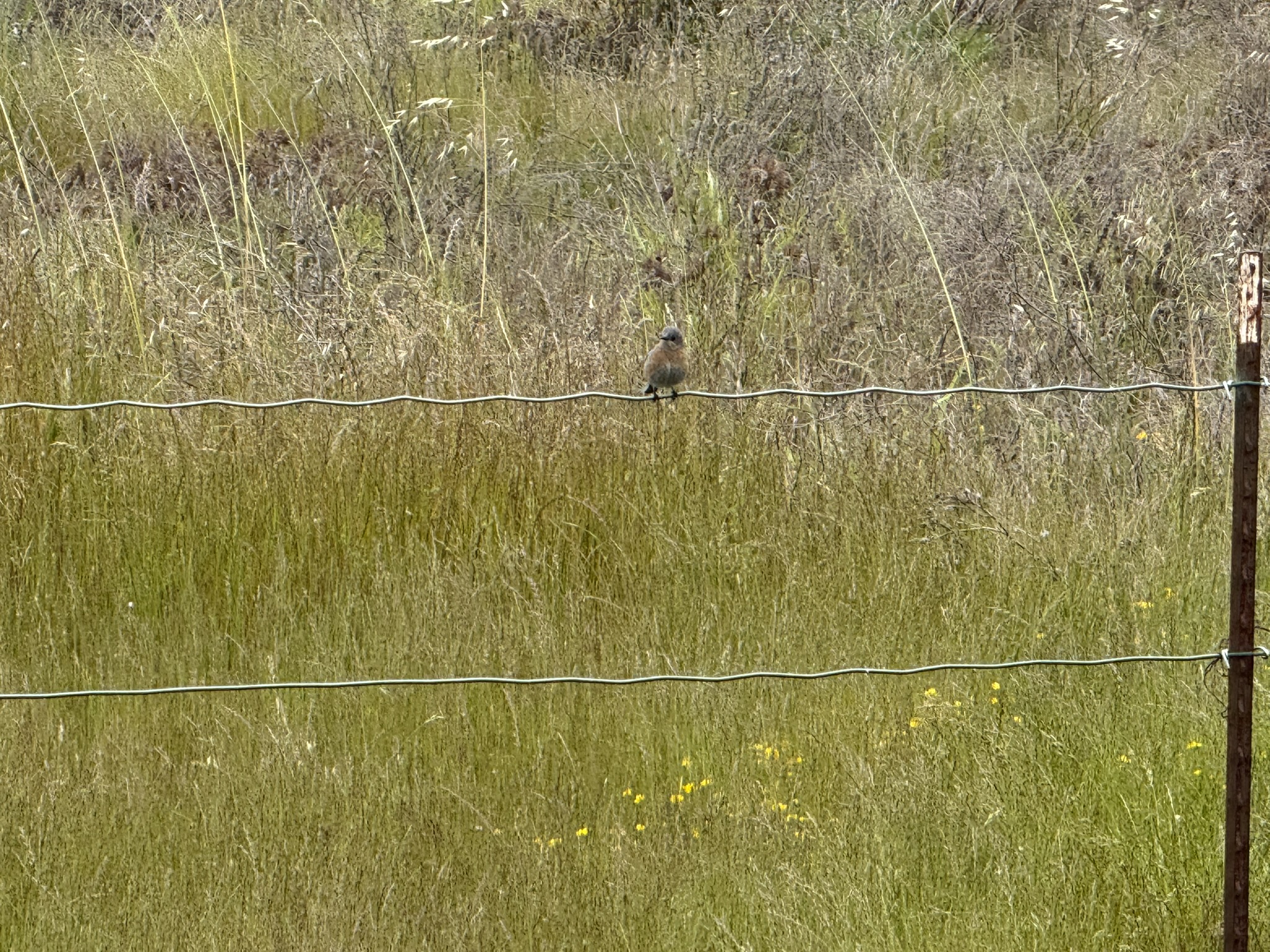Martin Luther King Jr. Regional Shoreline