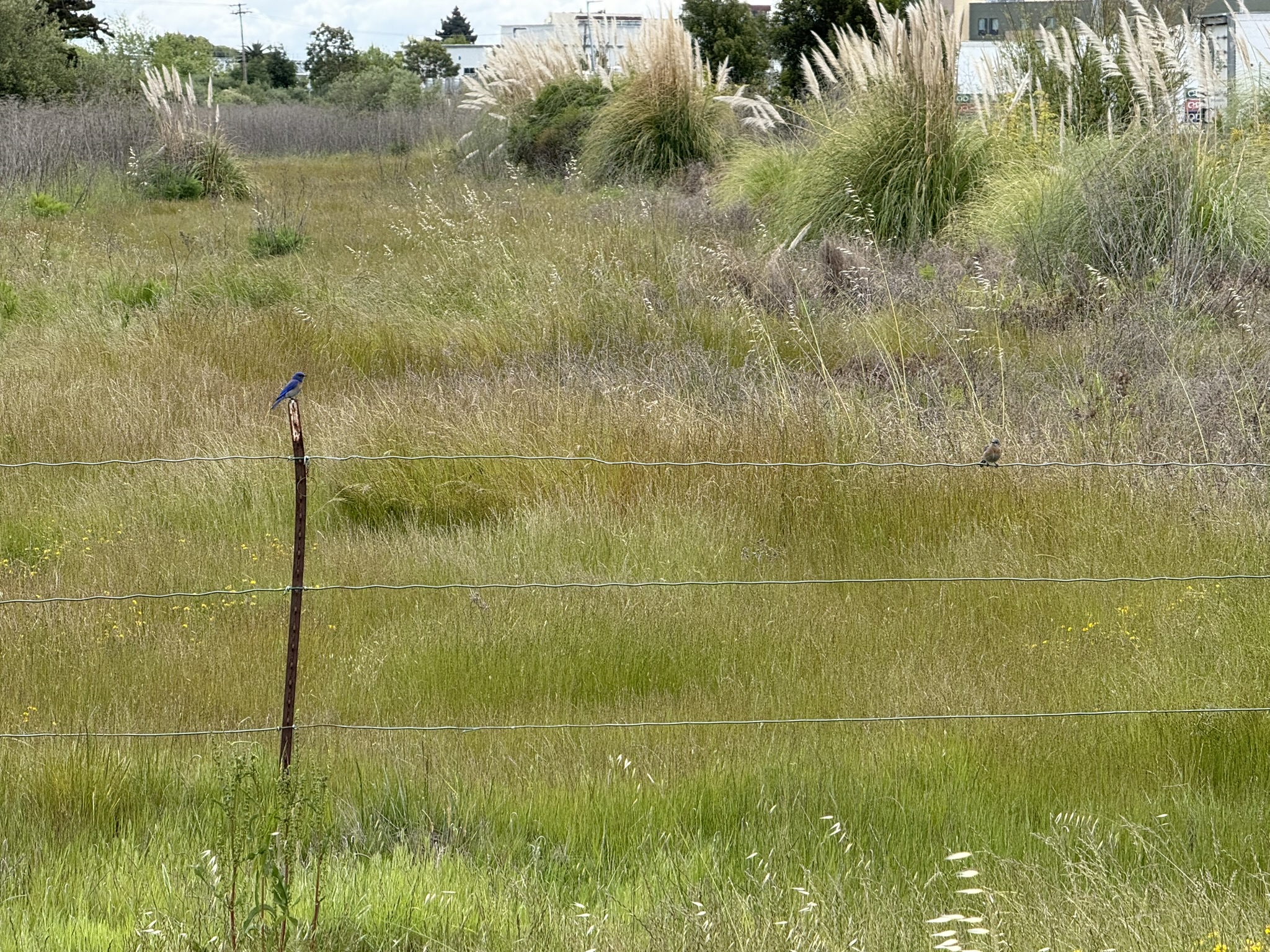 Martin Luther King Jr. Regional Shoreline