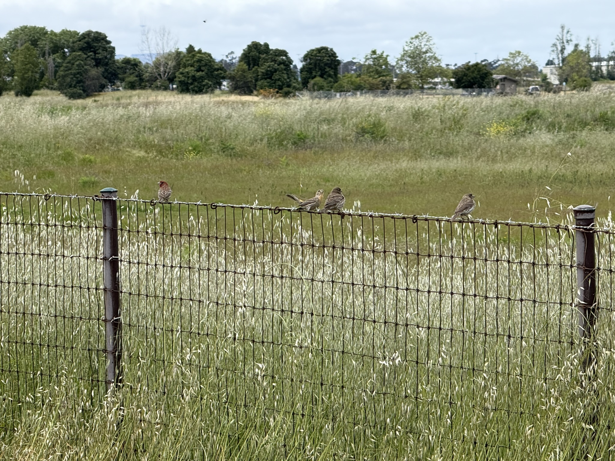 Martin Luther King Jr. Regional Shoreline