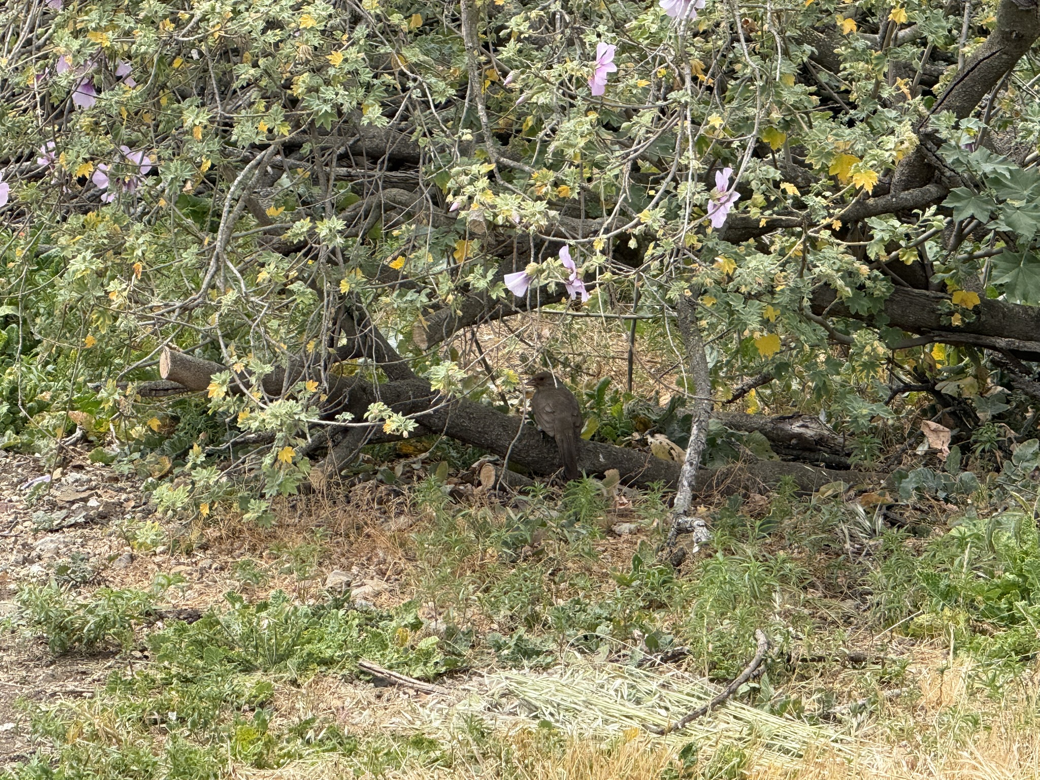 Martin Luther King Jr. Regional Shoreline