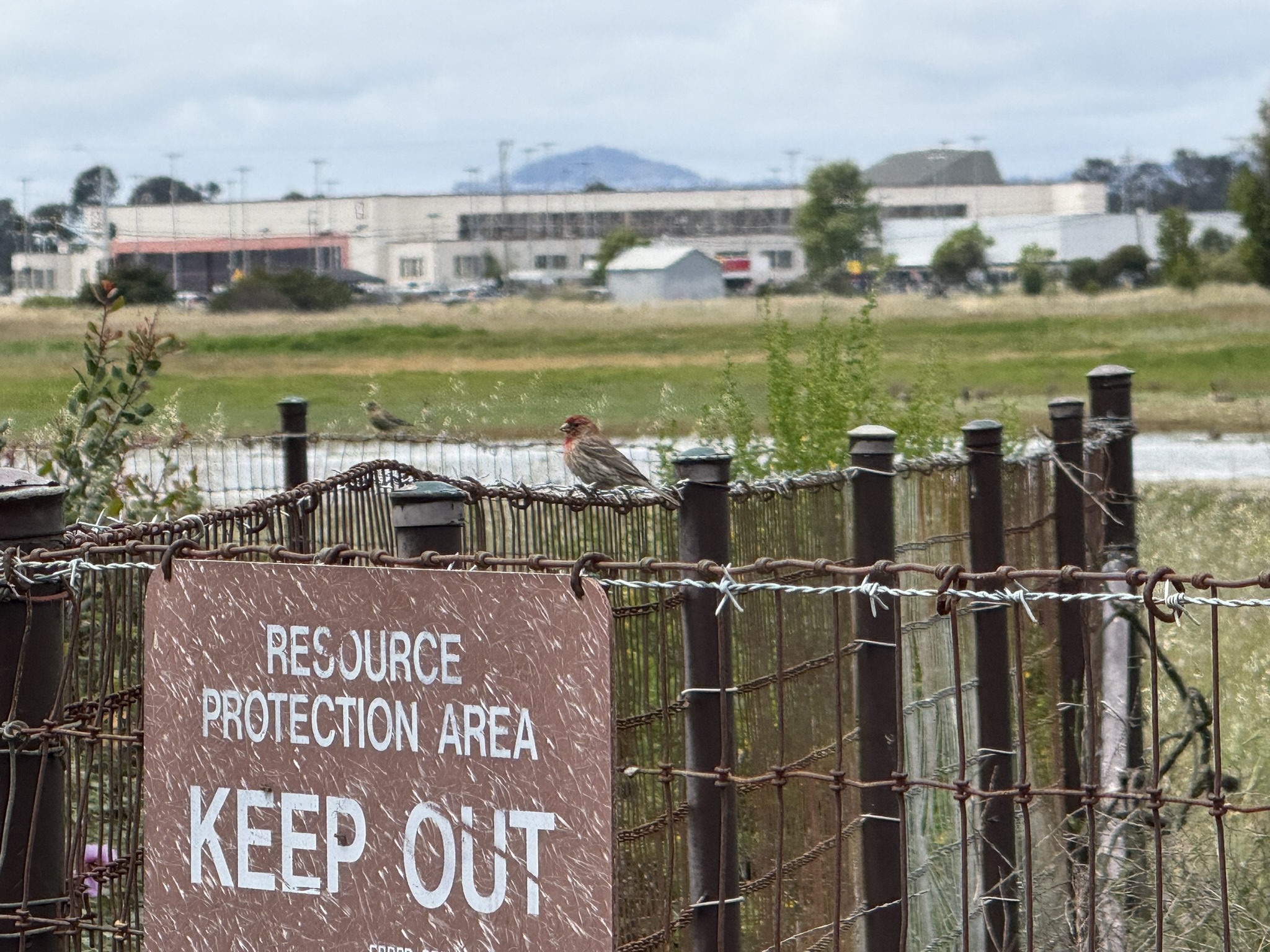 Martin Luther King Jr. Regional Shoreline