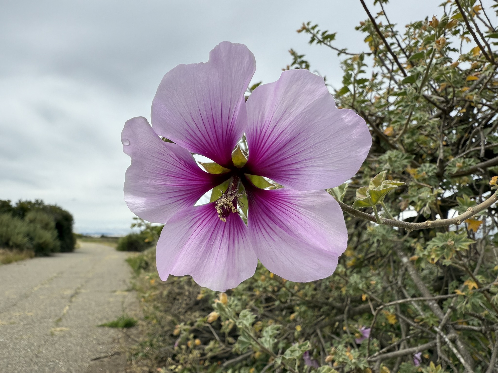 Martin Luther King Jr. Regional Shoreline