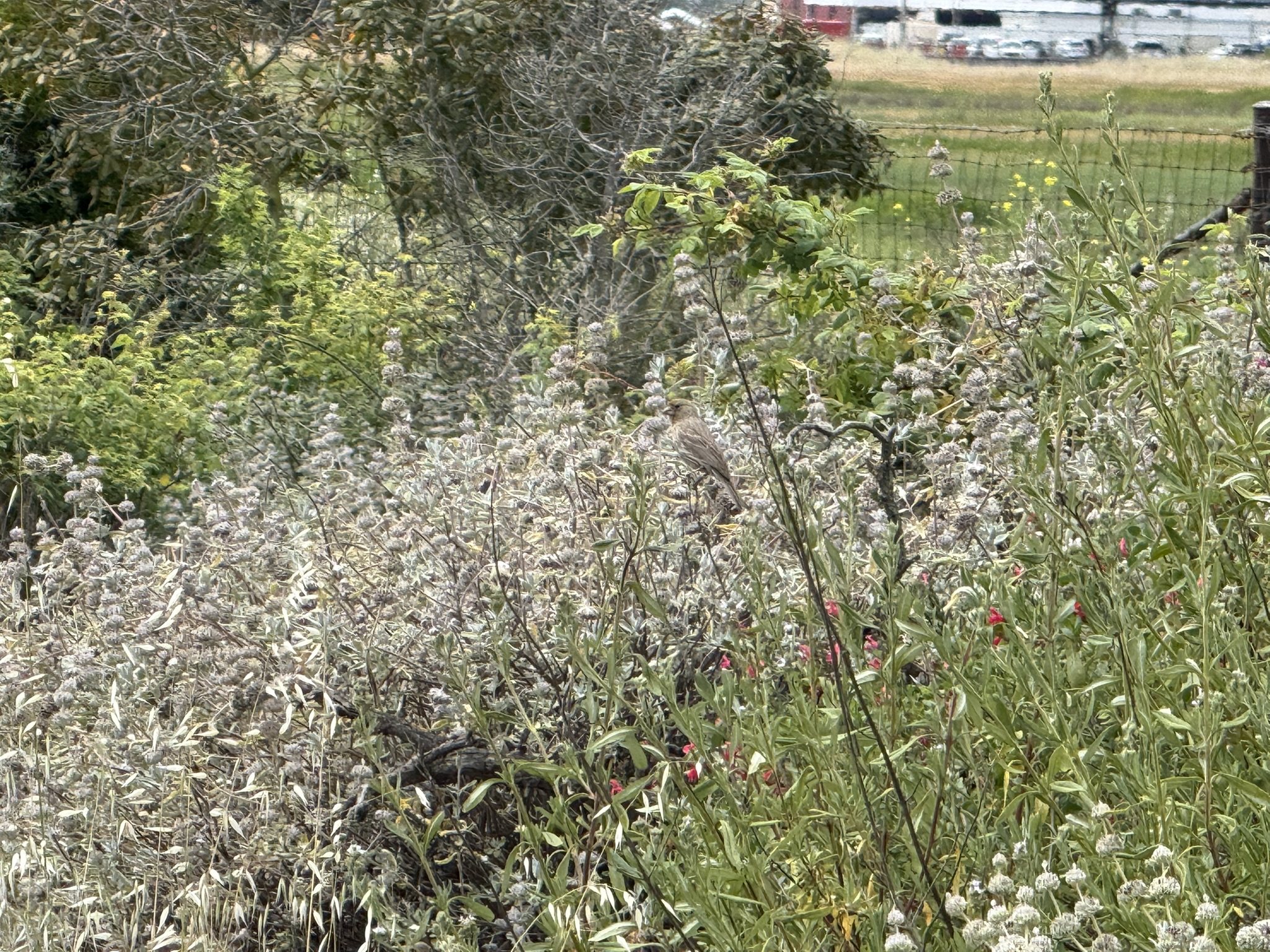 Martin Luther King Jr. Regional Shoreline