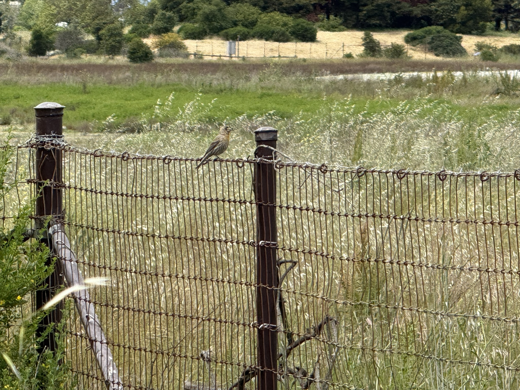Martin Luther King Jr. Regional Shoreline