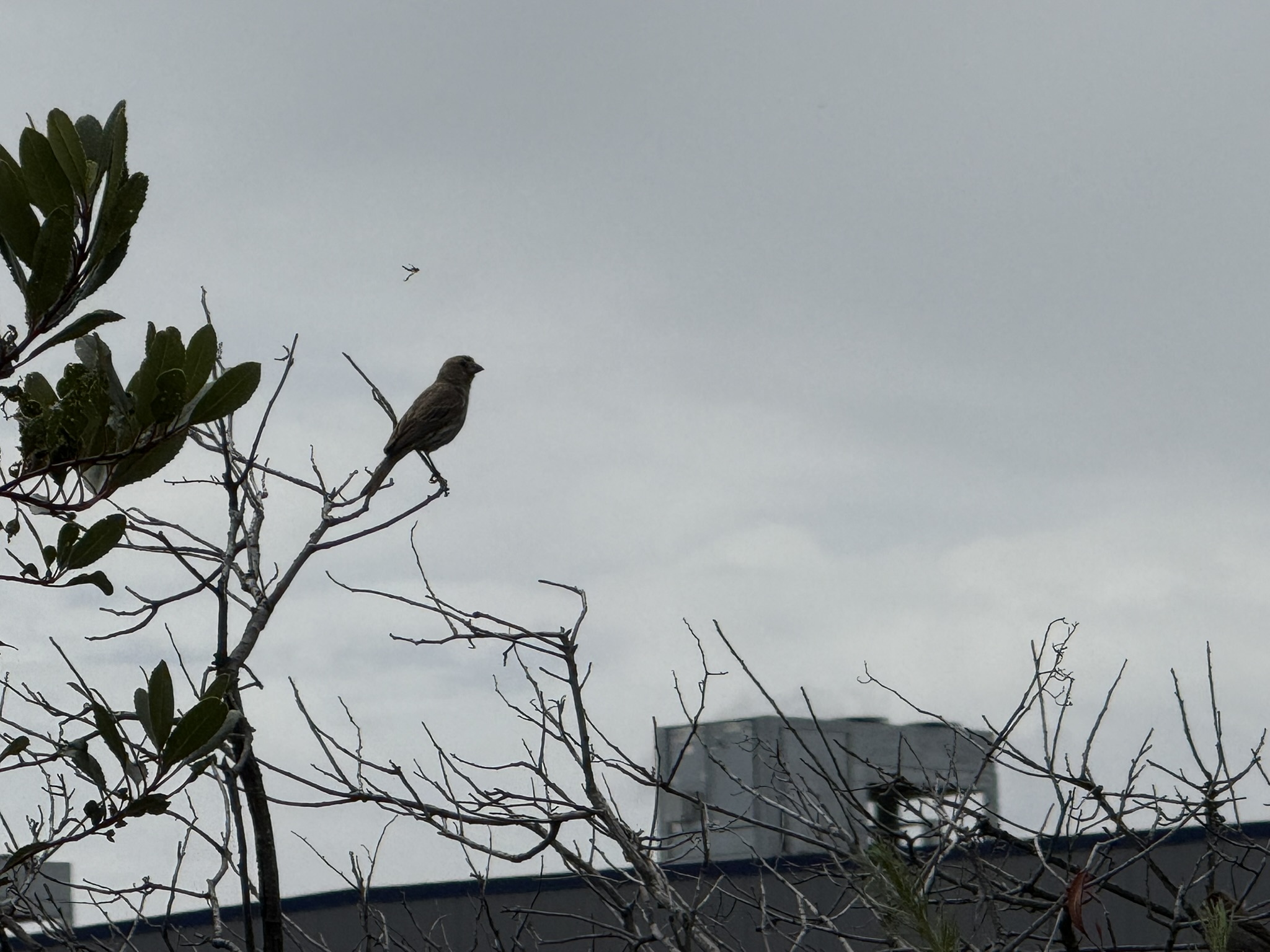 Martin Luther King Jr. Regional Shoreline