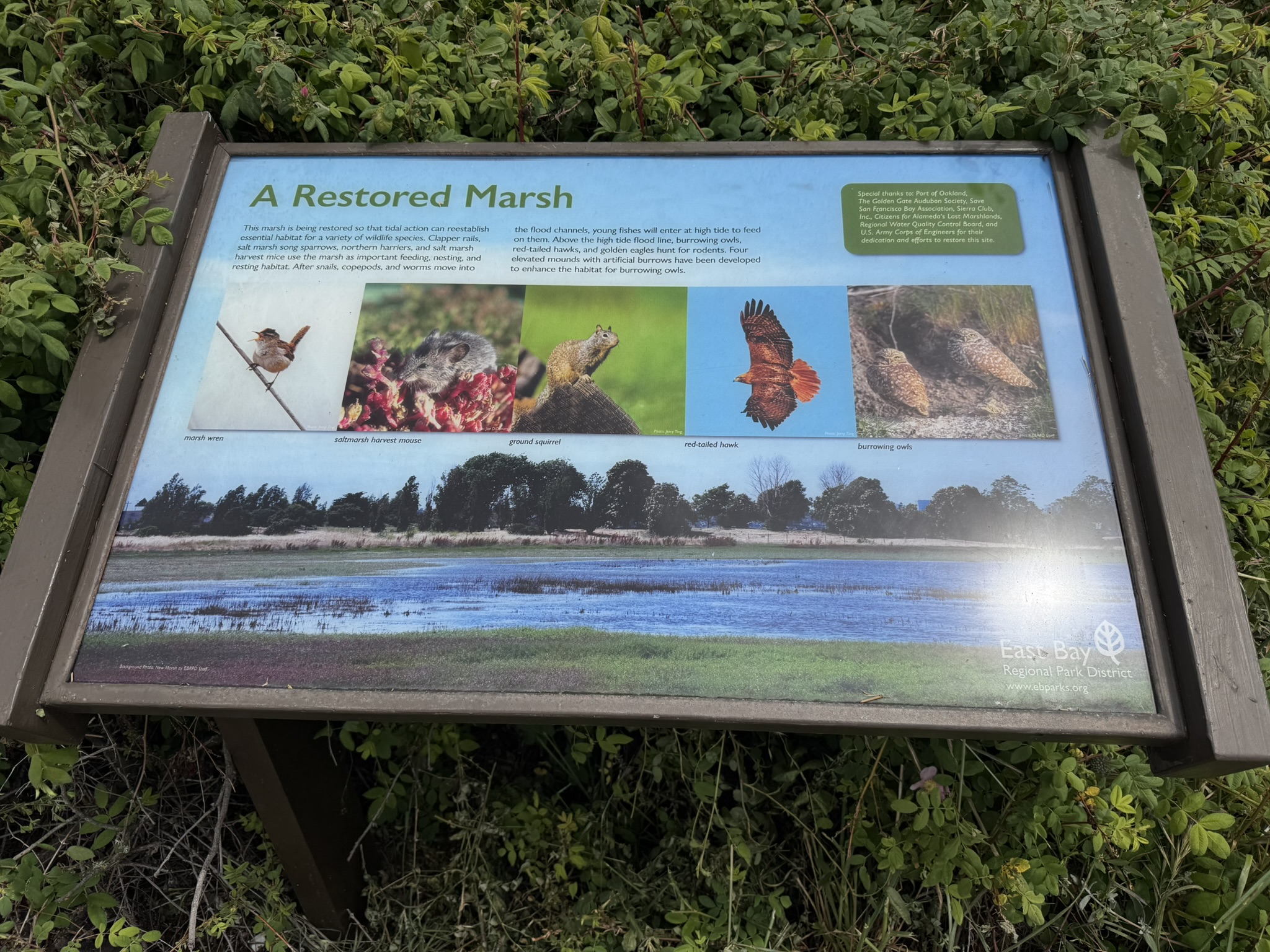 Martin Luther King Jr. Regional Shoreline