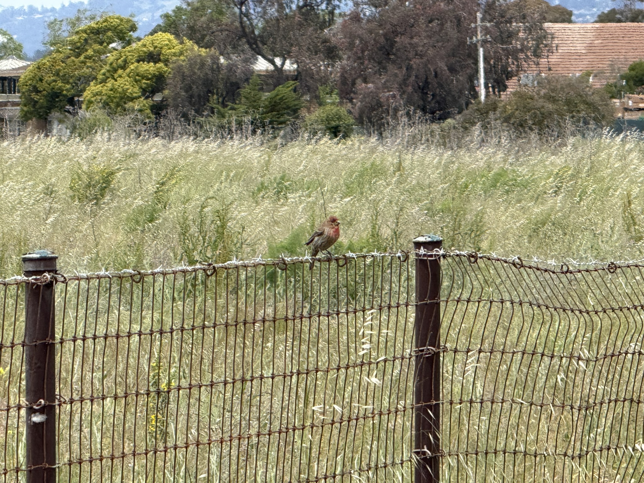 Martin Luther King Jr. Regional Shoreline