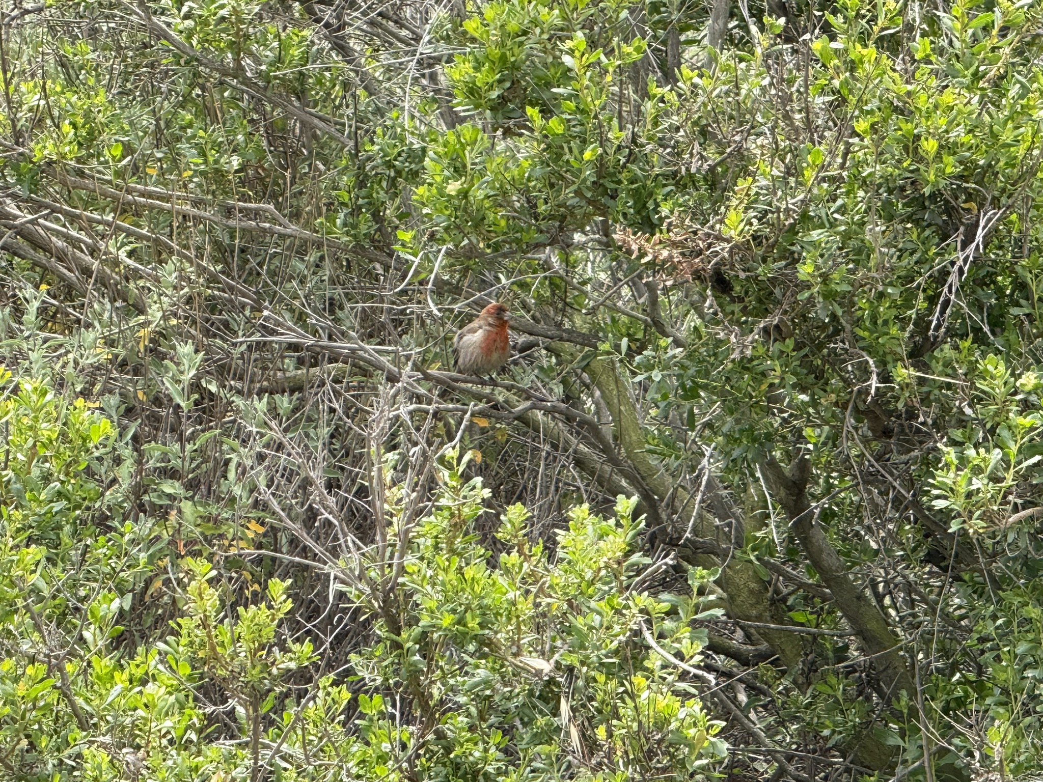Martin Luther King Jr. Regional Shoreline