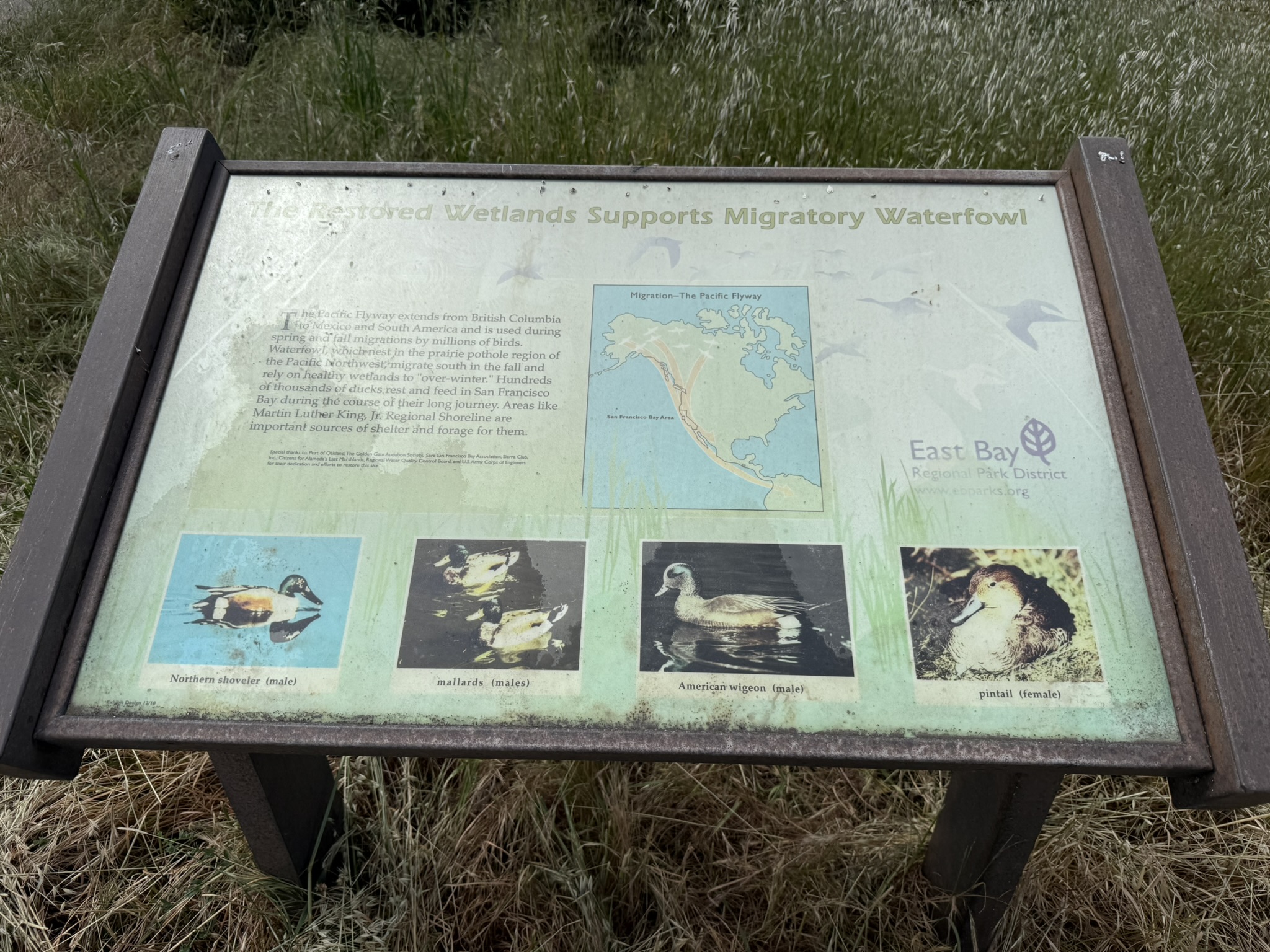 Martin Luther King Jr. Regional Shoreline