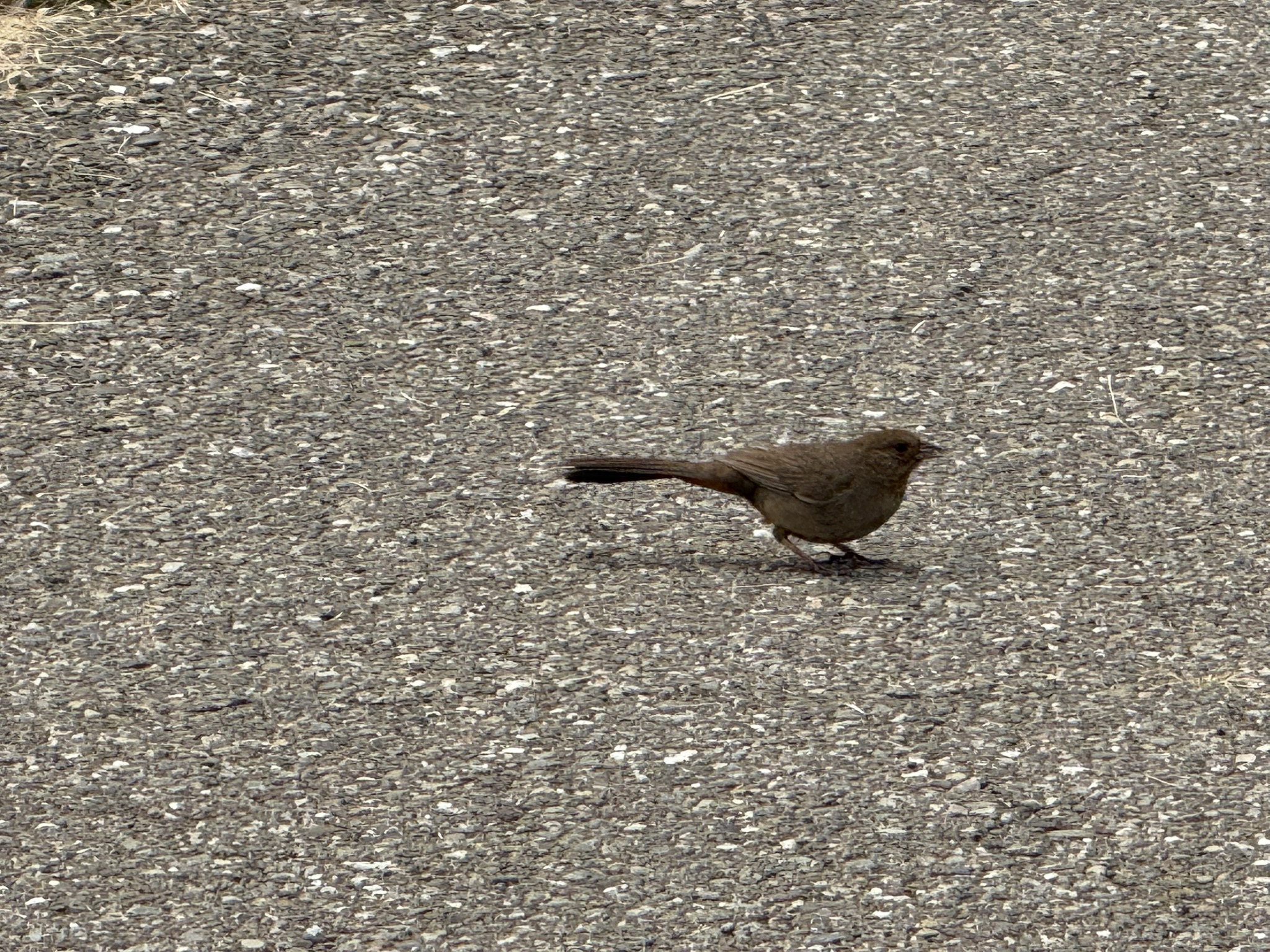 Martin Luther King Jr. Regional Shoreline