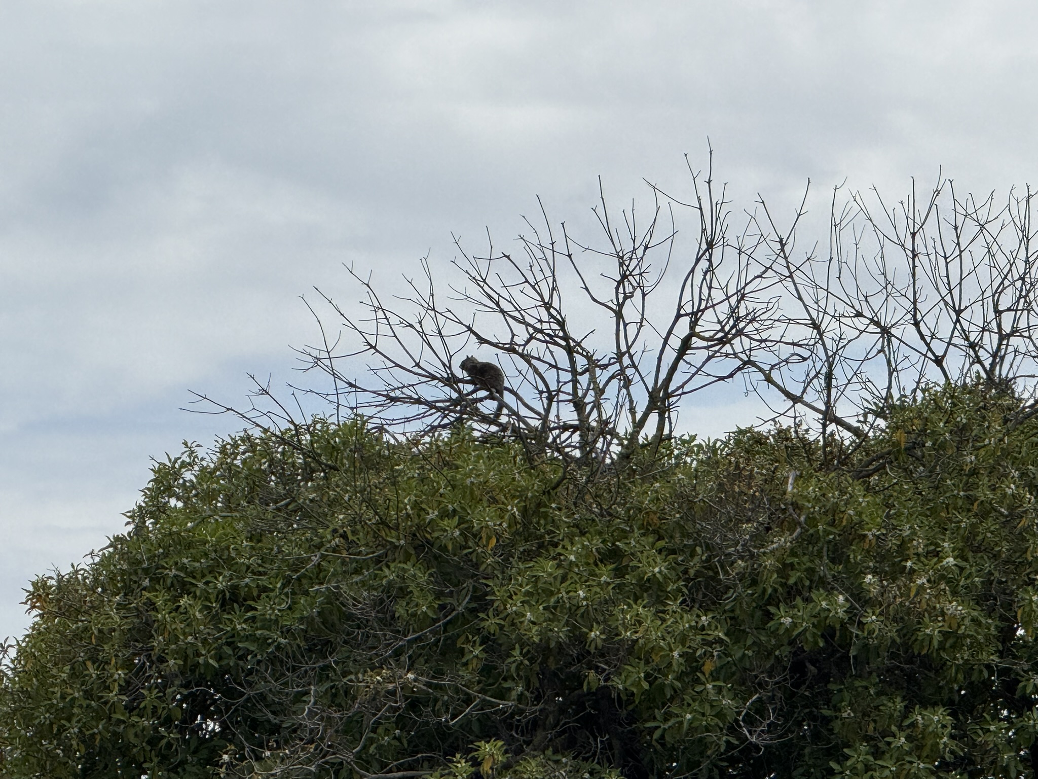 Martin Luther King Jr. Regional Shoreline