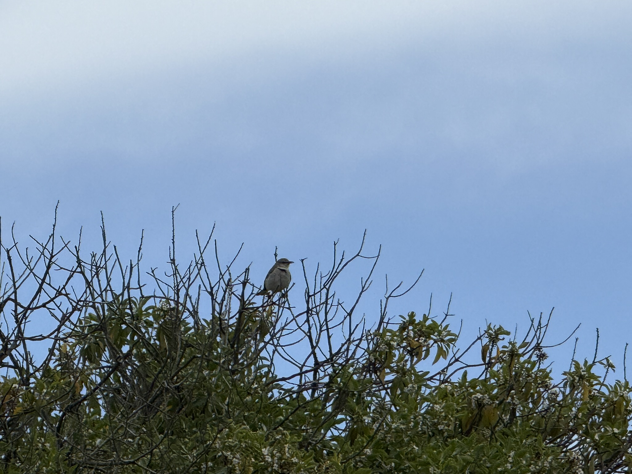Martin Luther King Jr. Regional Shoreline