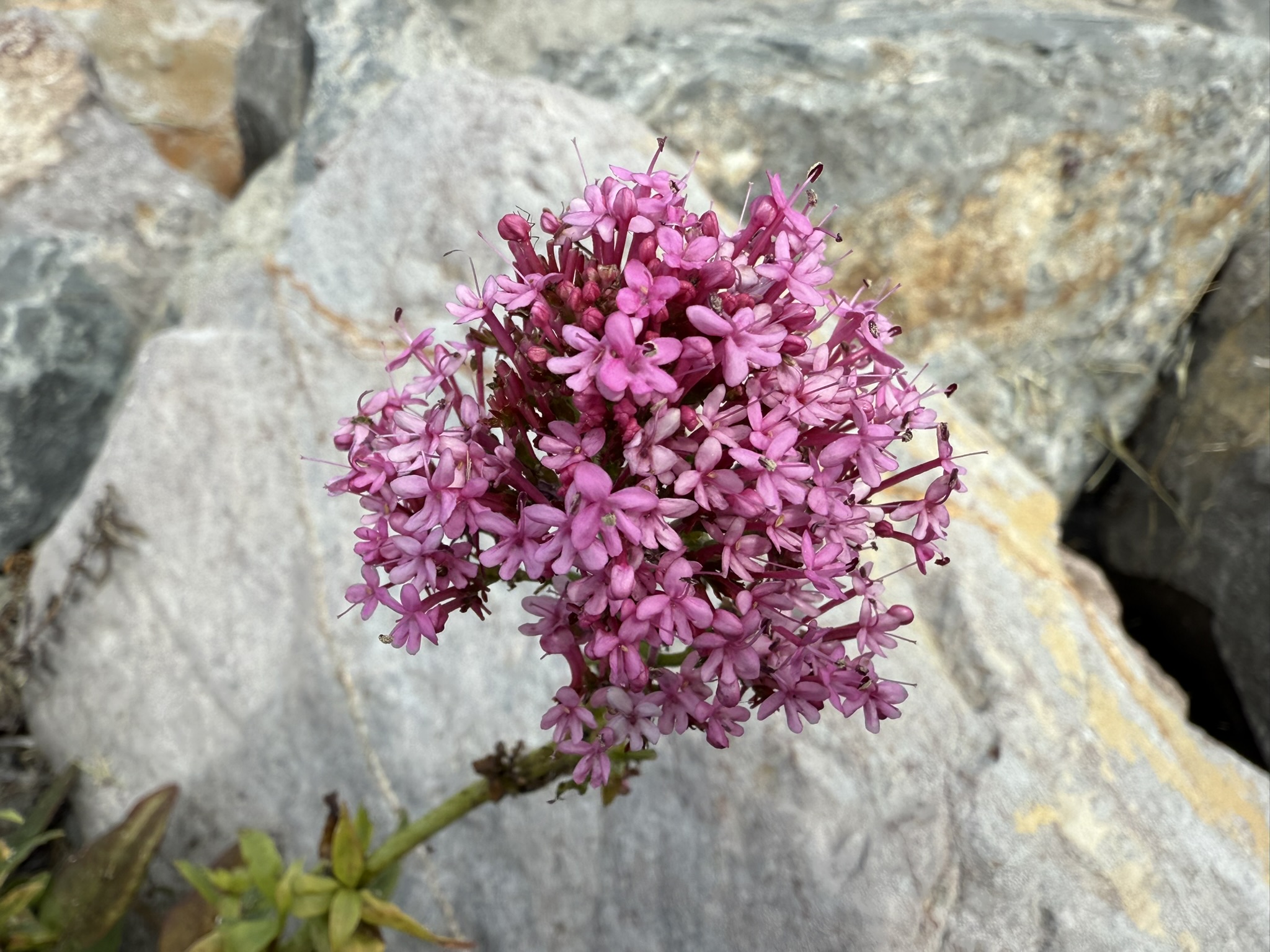 Martin Luther King Jr. Regional Shoreline