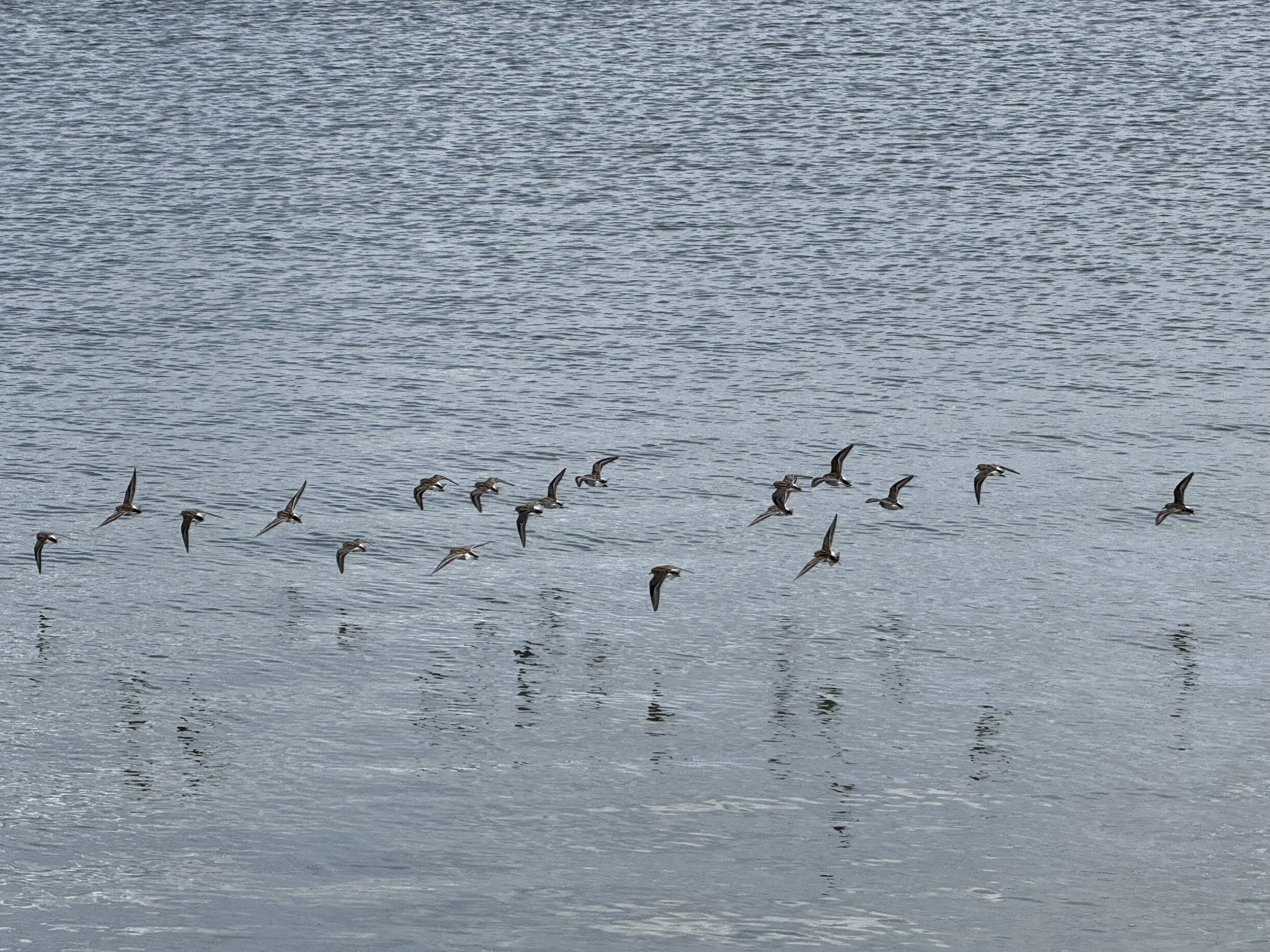 Martin Luther King Jr. Regional Shoreline