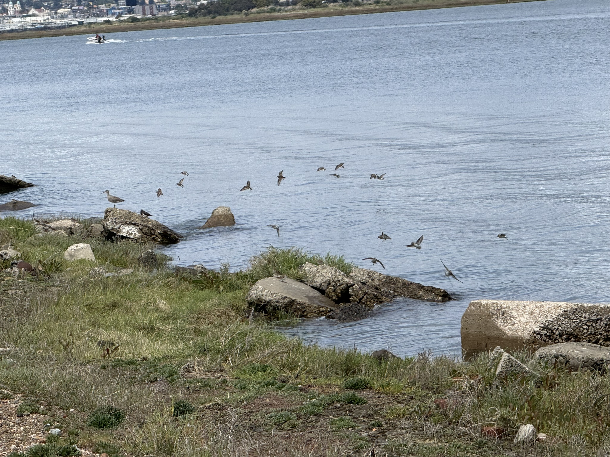 Martin Luther King Jr. Regional Shoreline