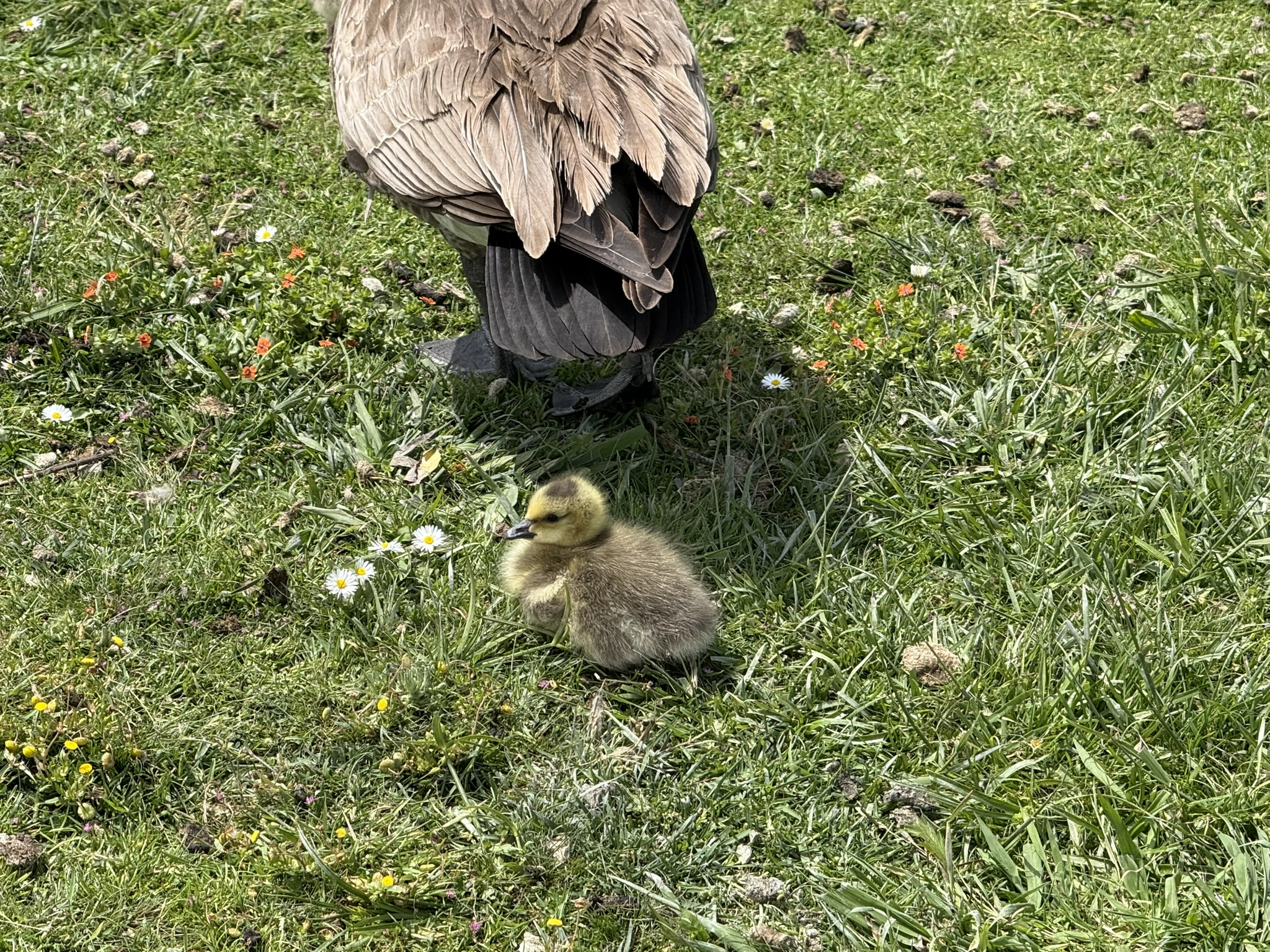 Martin Luther King Jr. Regional Shoreline