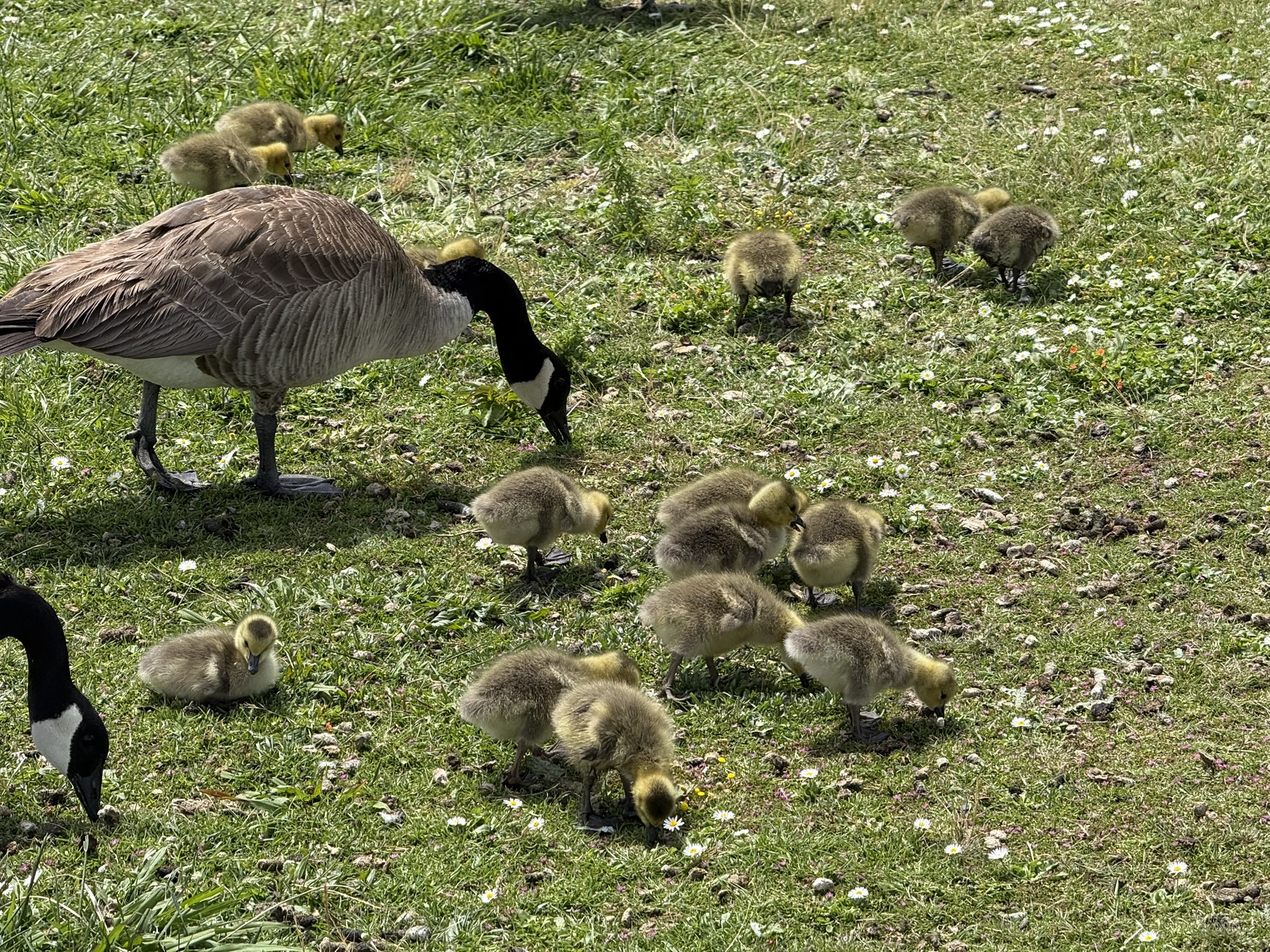 Martin Luther King Jr. Regional Shoreline