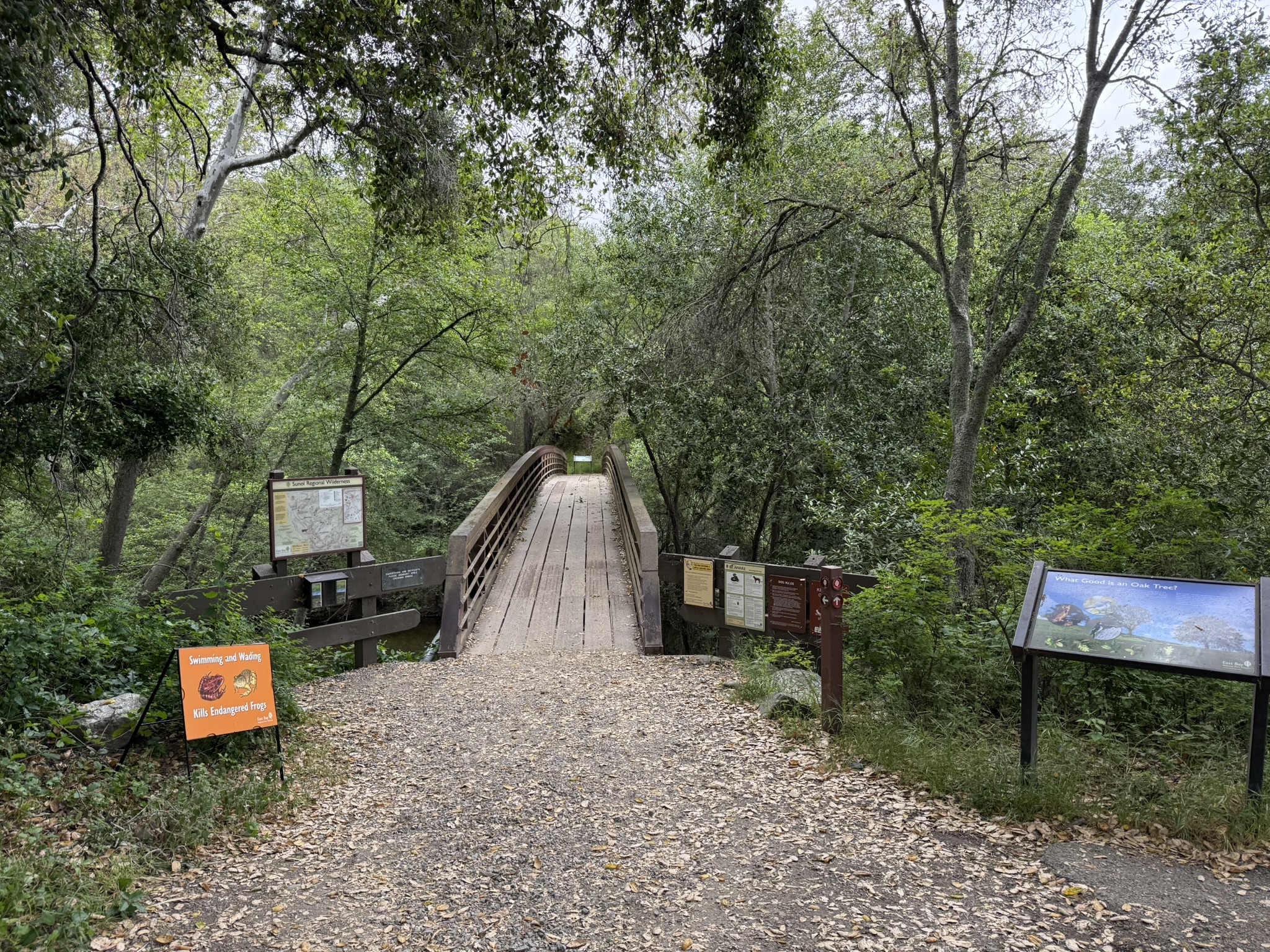Sunol Wilderness Regional Preserve