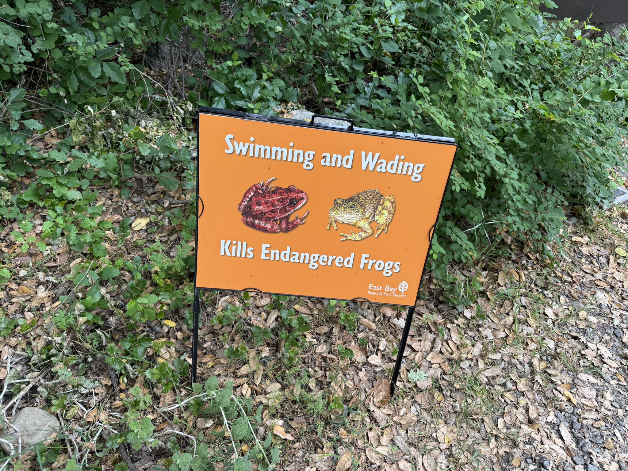 Sunol Wilderness Regional Preserve