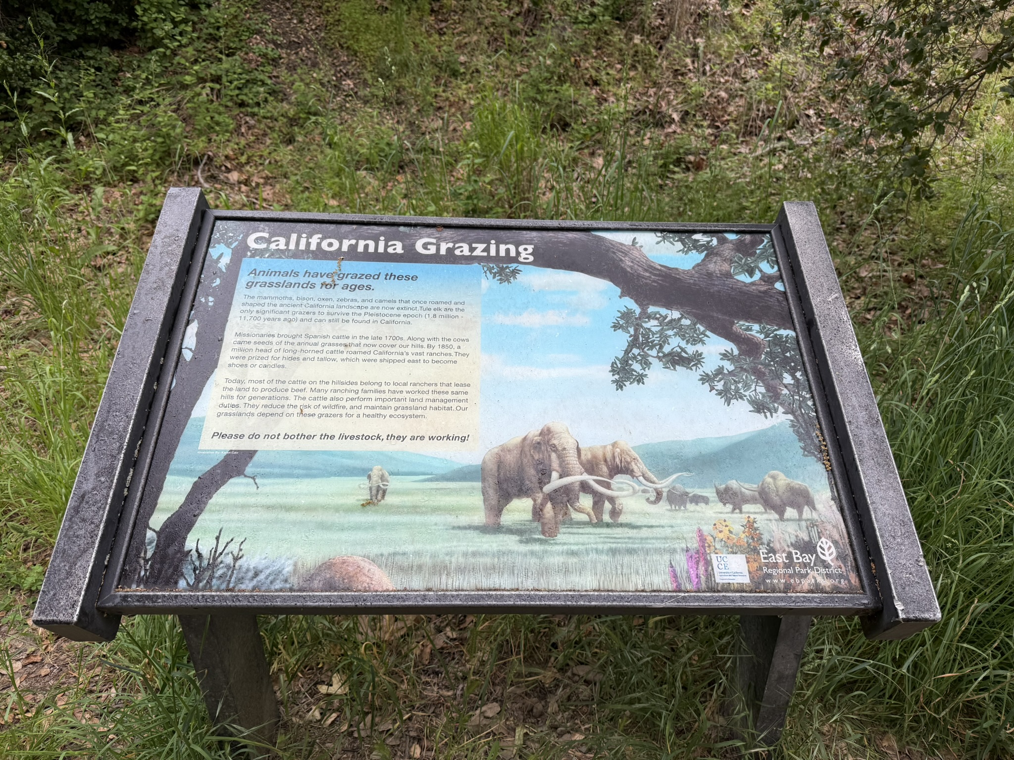 Sunol Wilderness Regional Preserve
