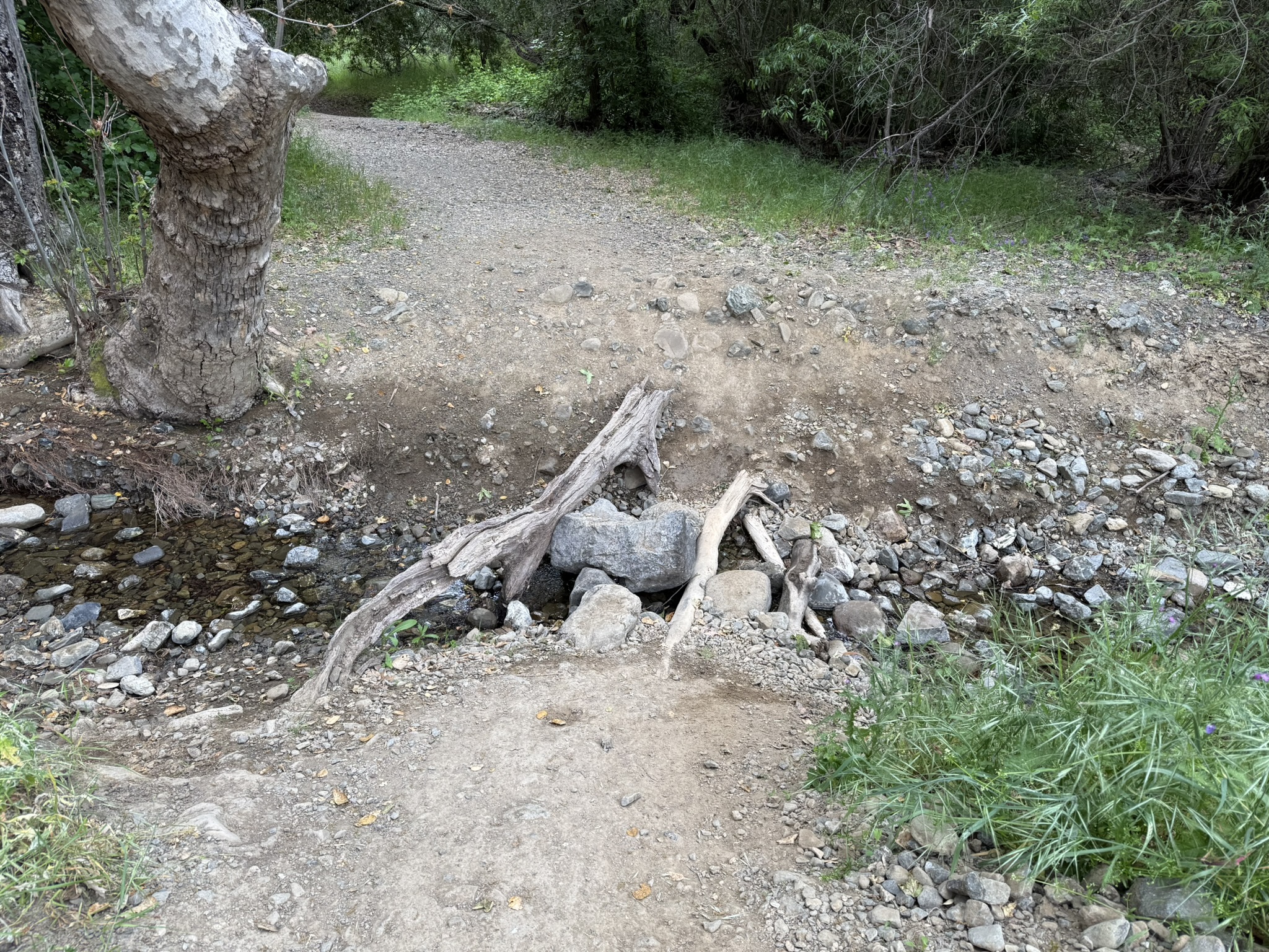 Sunol Wilderness Regional Preserve