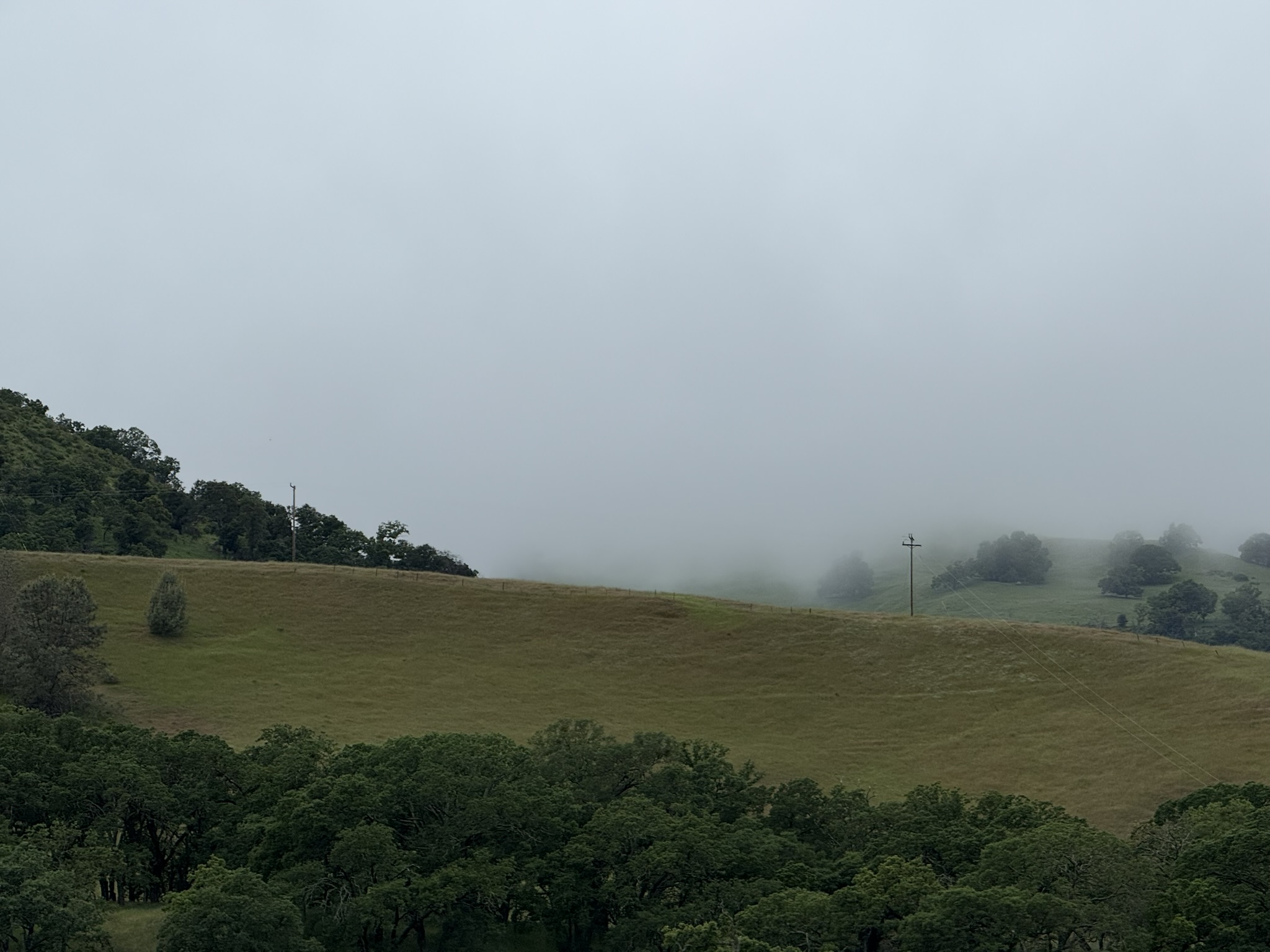 Sunol Wilderness Regional Preserve