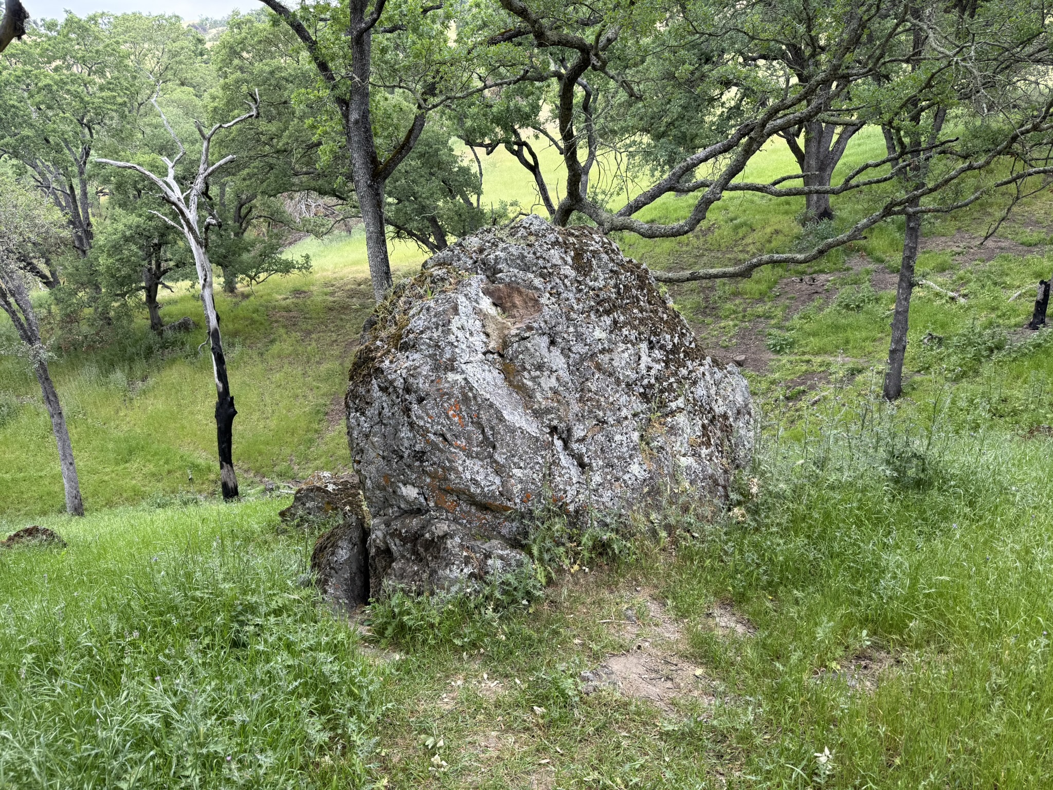 Sunol Wilderness Regional Preserve