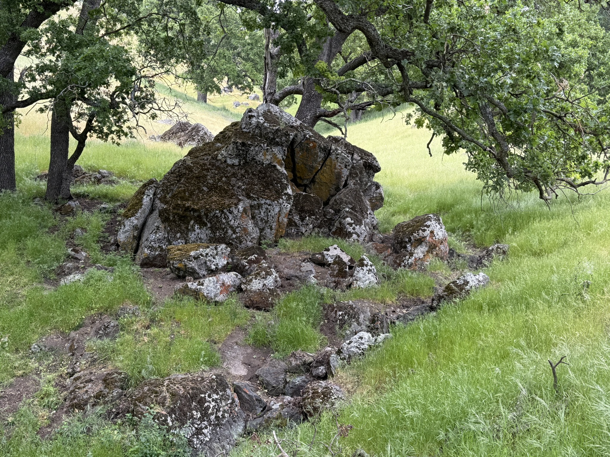 Sunol Wilderness Regional Preserve