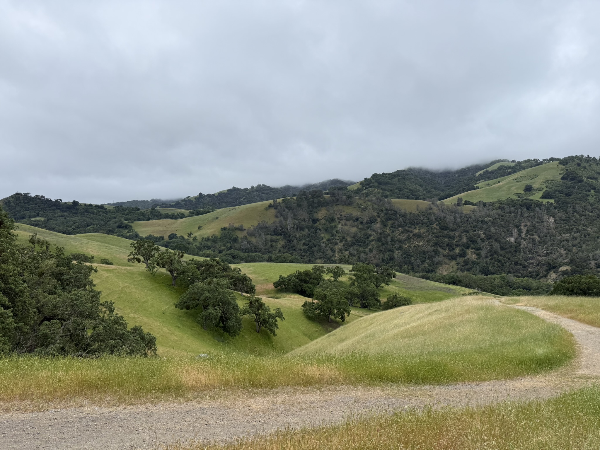 Sunol Wilderness Regional Preserve