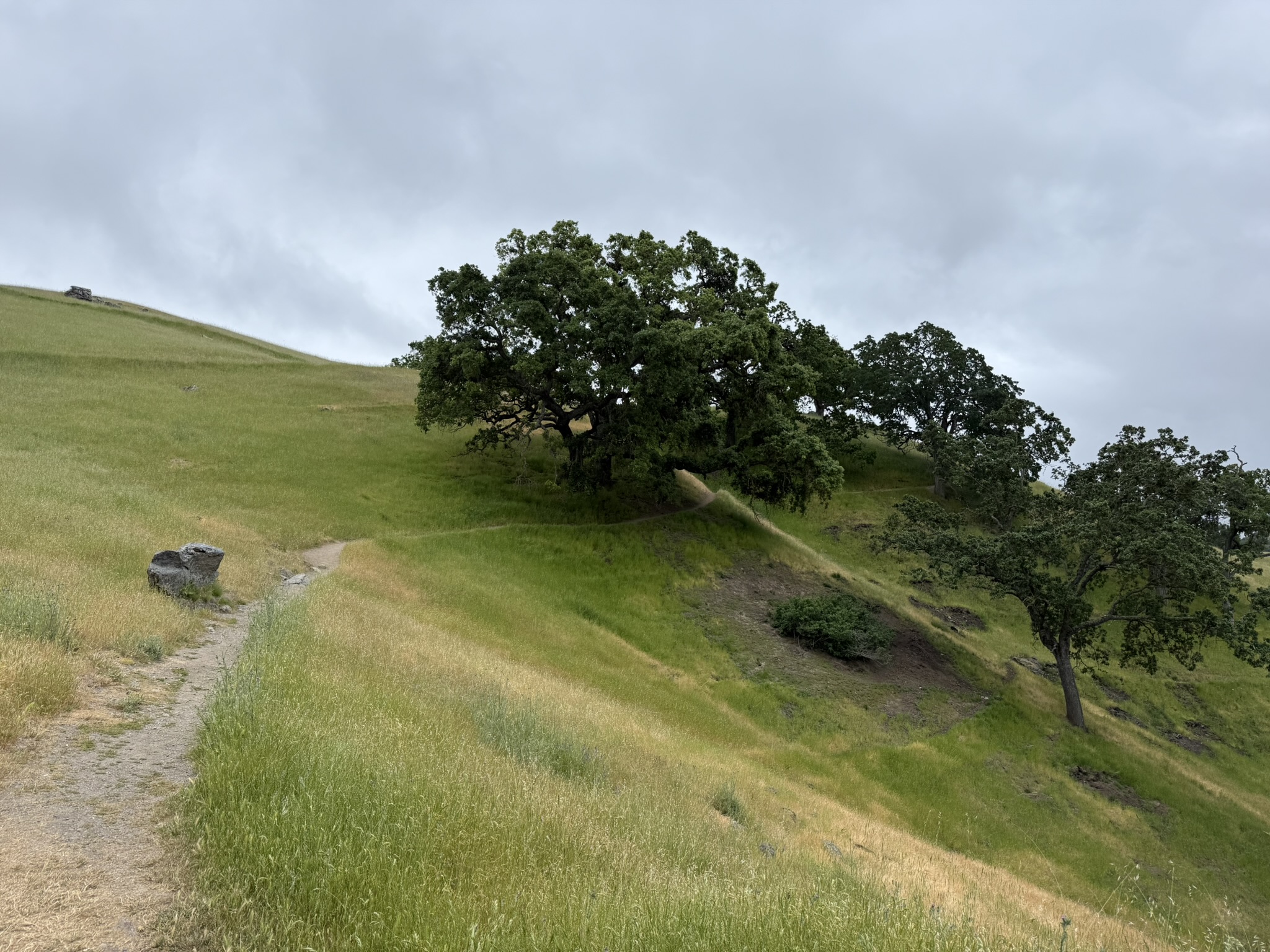 Sunol Wilderness Regional Preserve