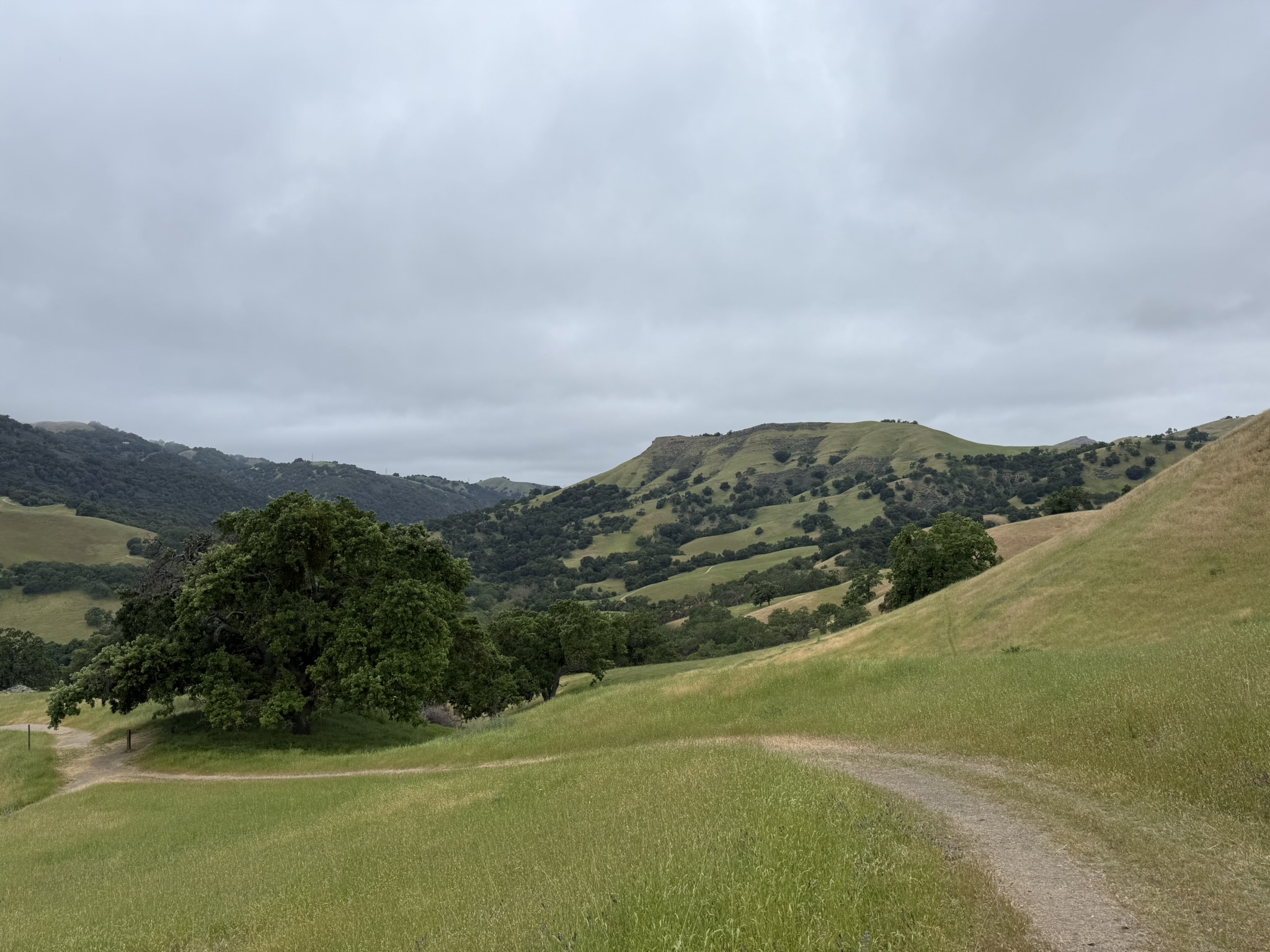 Sunol Wilderness Regional Preserve