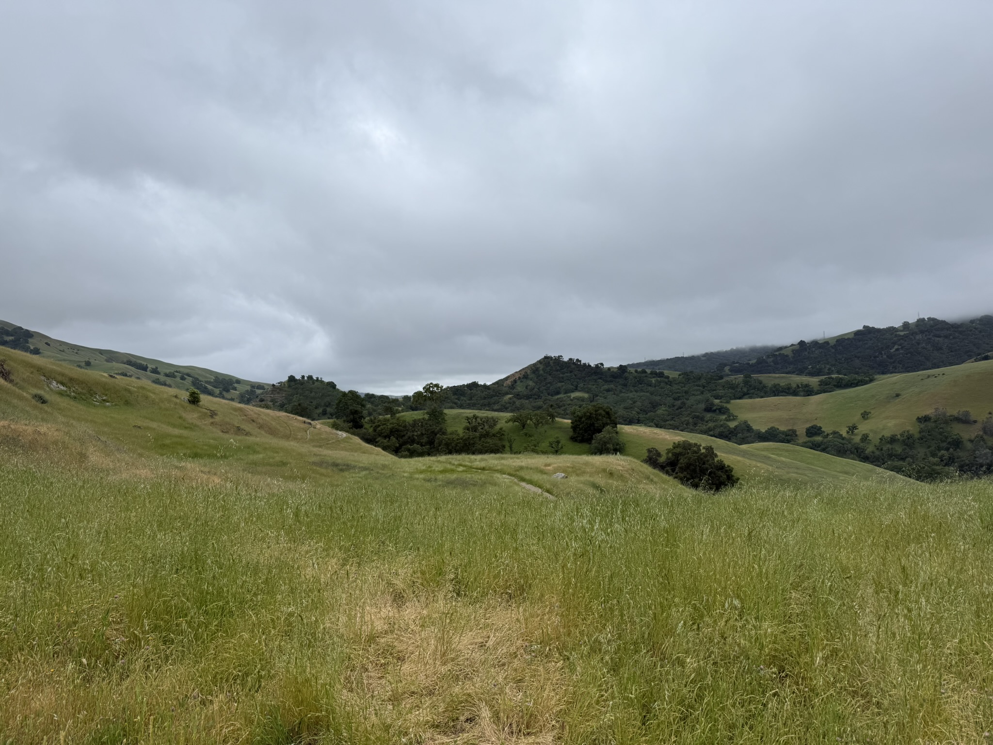 Sunol Wilderness Regional Preserve