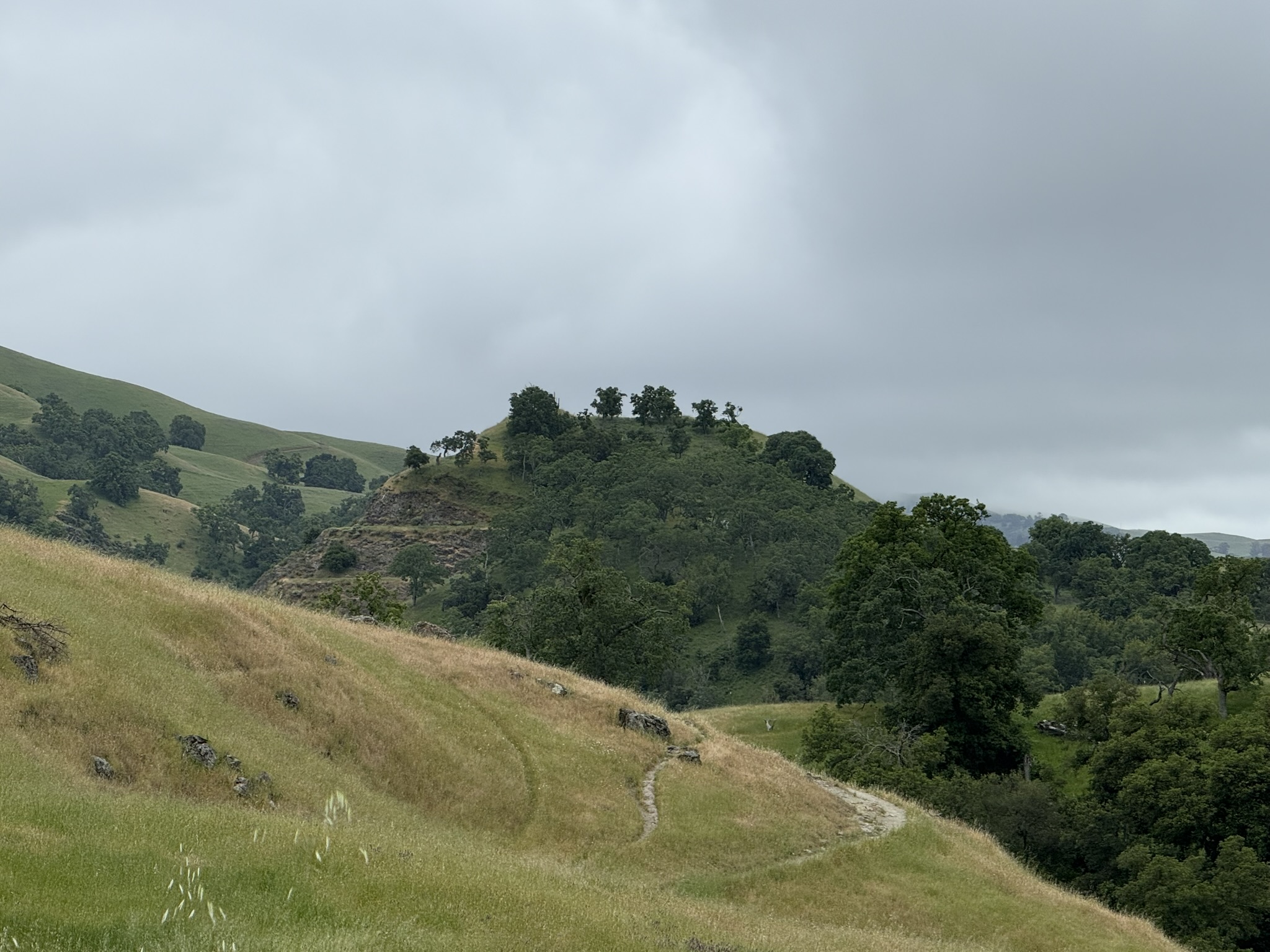 Sunol Wilderness Regional Preserve