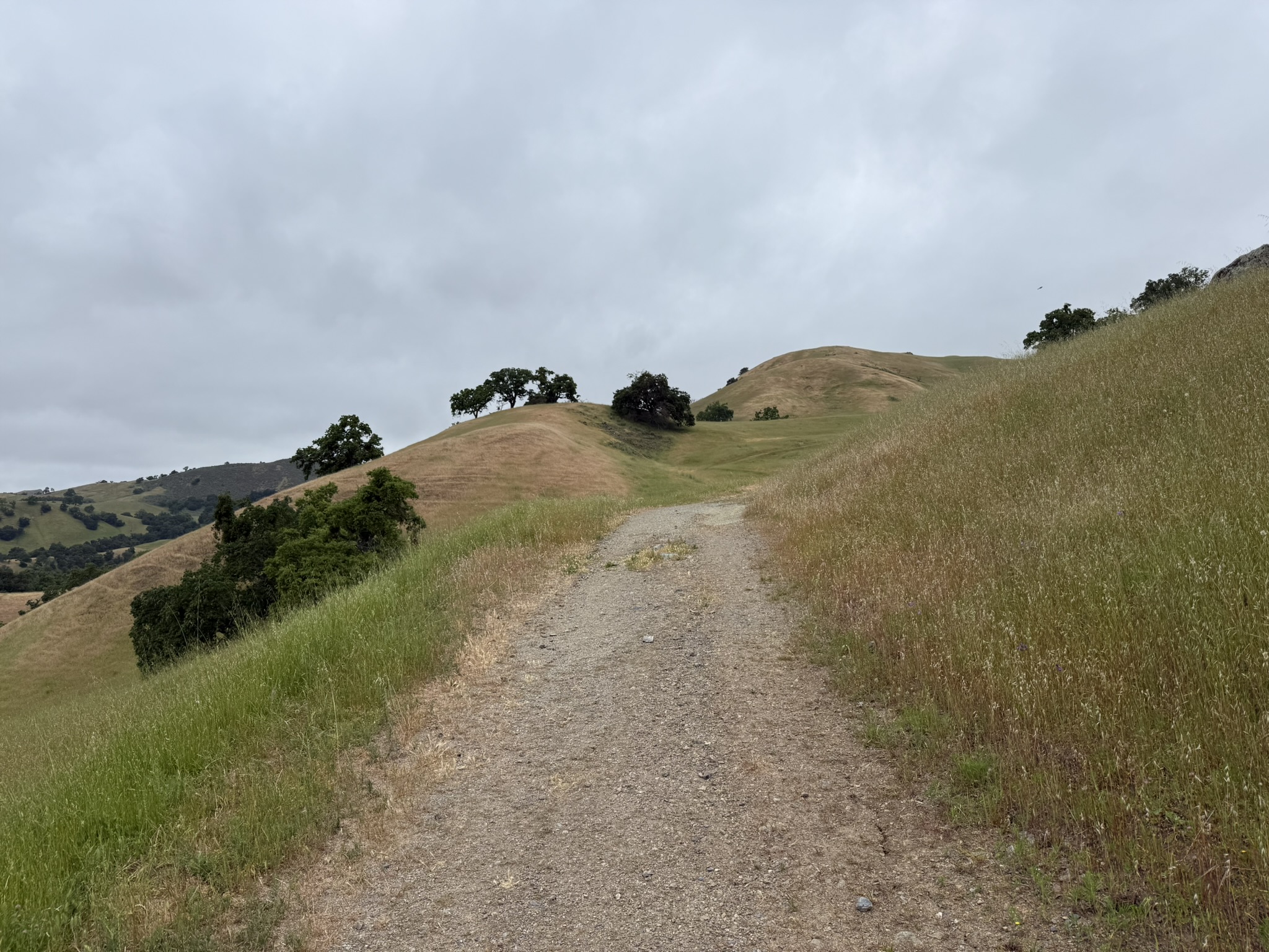 Sunol Wilderness Regional Preserve