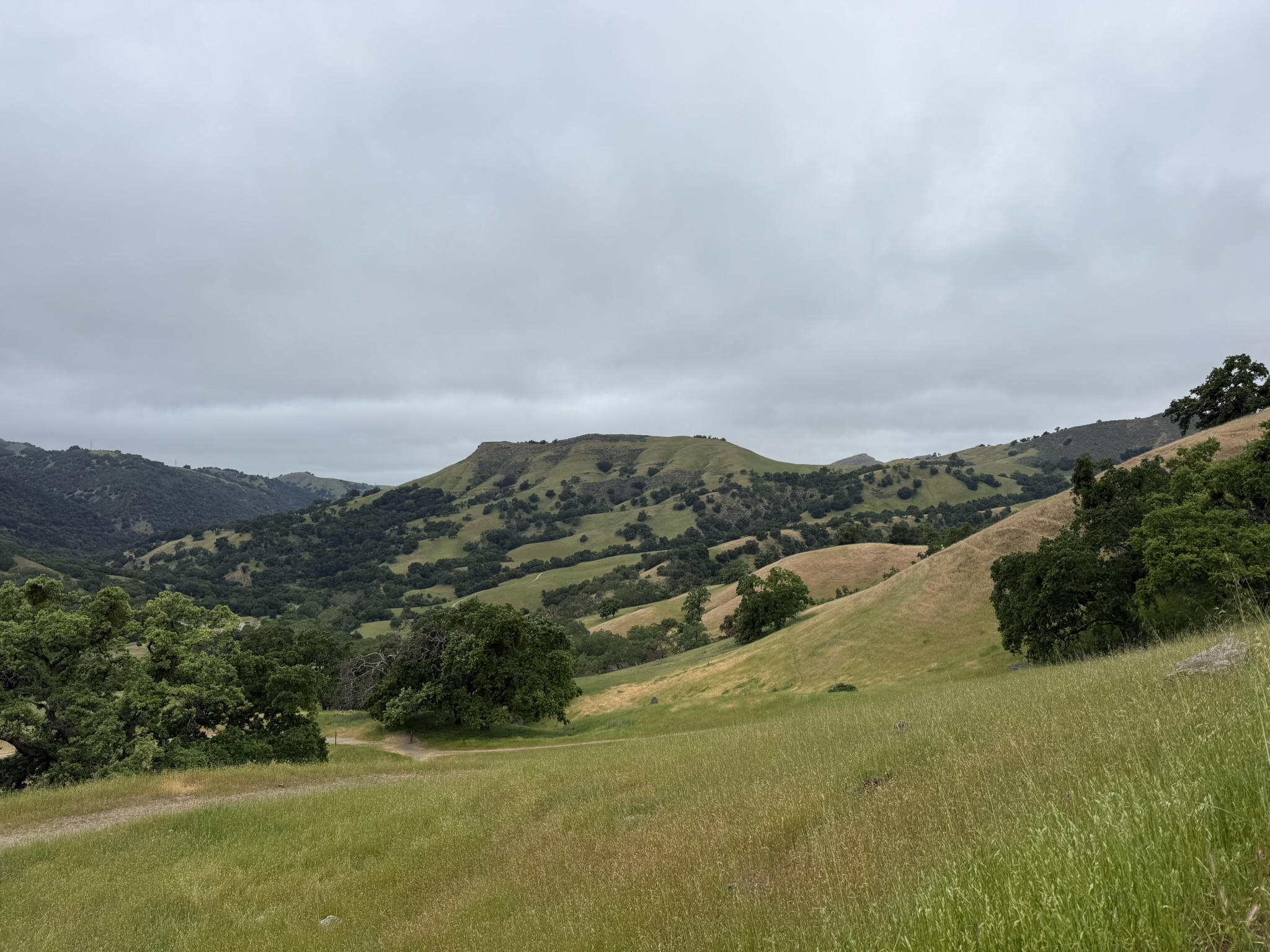 Sunol Wilderness Regional Preserve