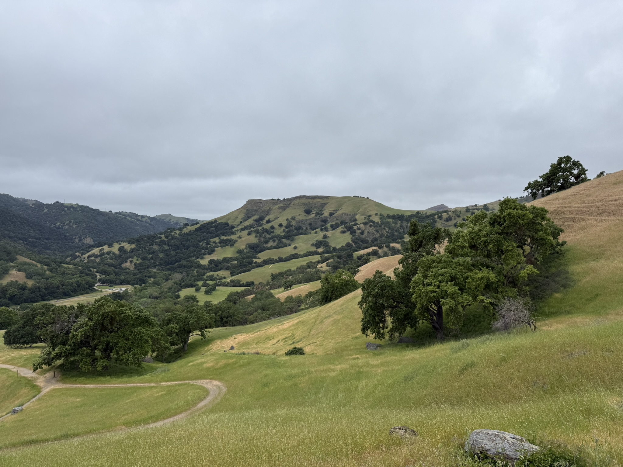 Sunol Wilderness Regional Preserve