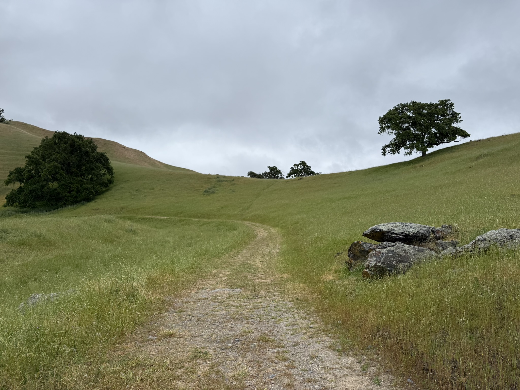 Sunol Wilderness Regional Preserve